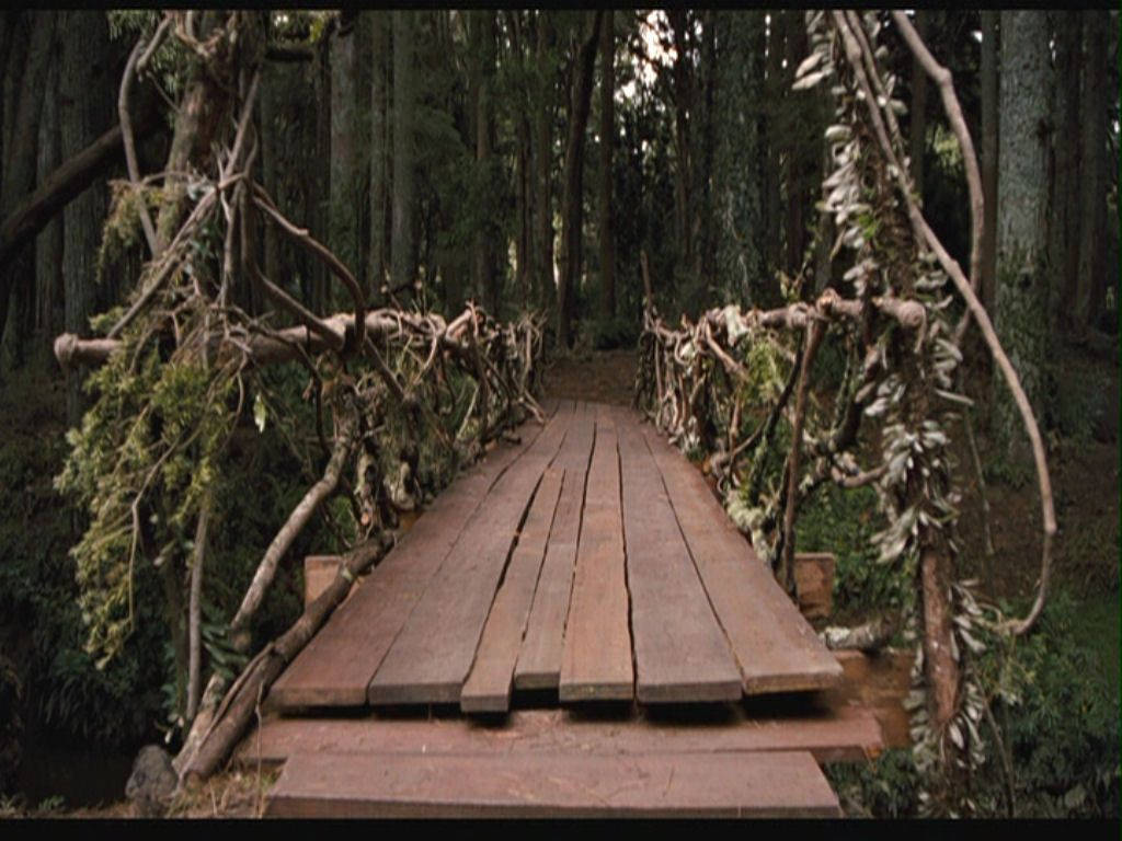 wooden bridge, Terabithia, vine-covered railings, SD Desktop Wallpaper