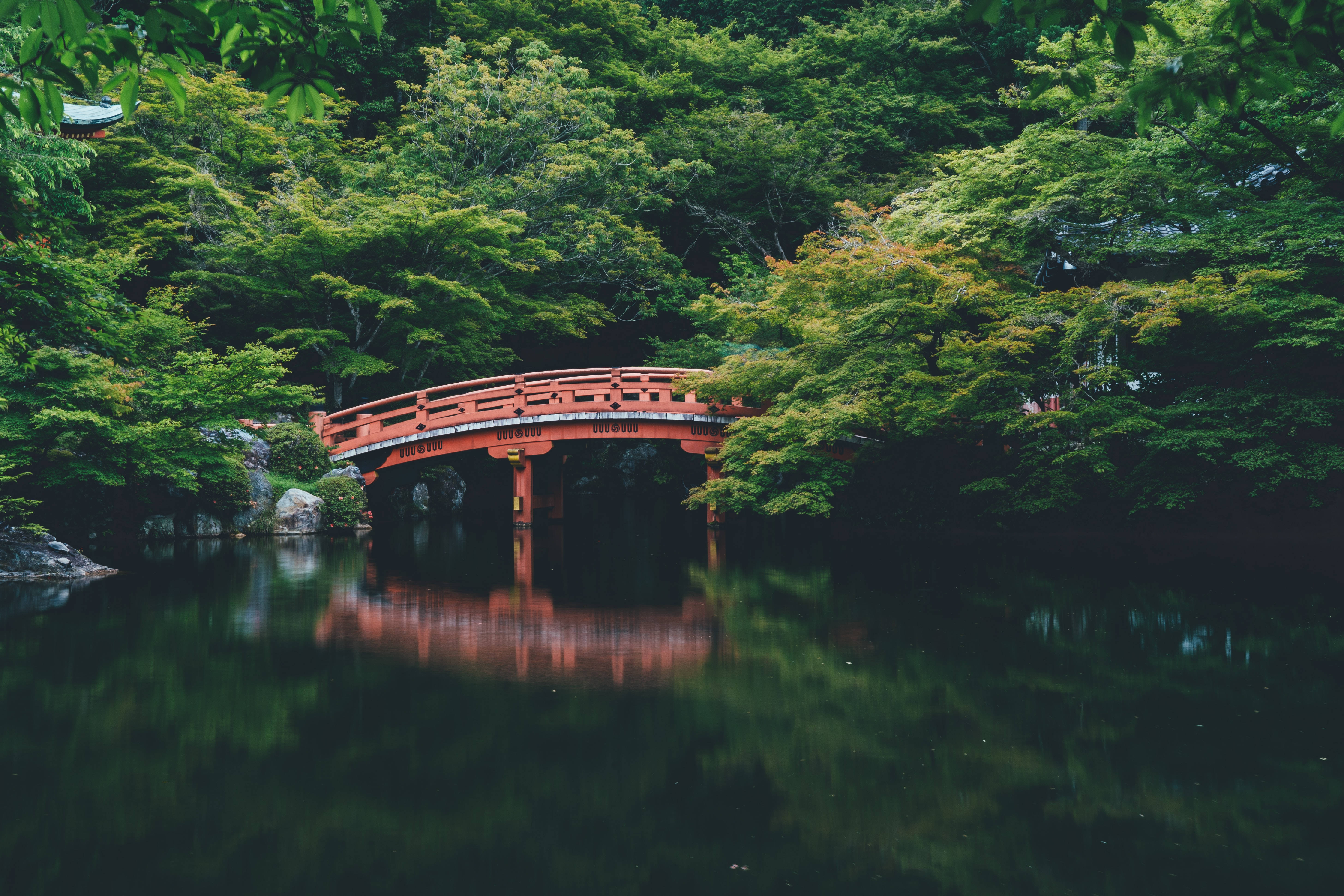 Bridge To Terabithia, vibrant red wooden bridge, calm pond, 5K Desktop Wallpaper
