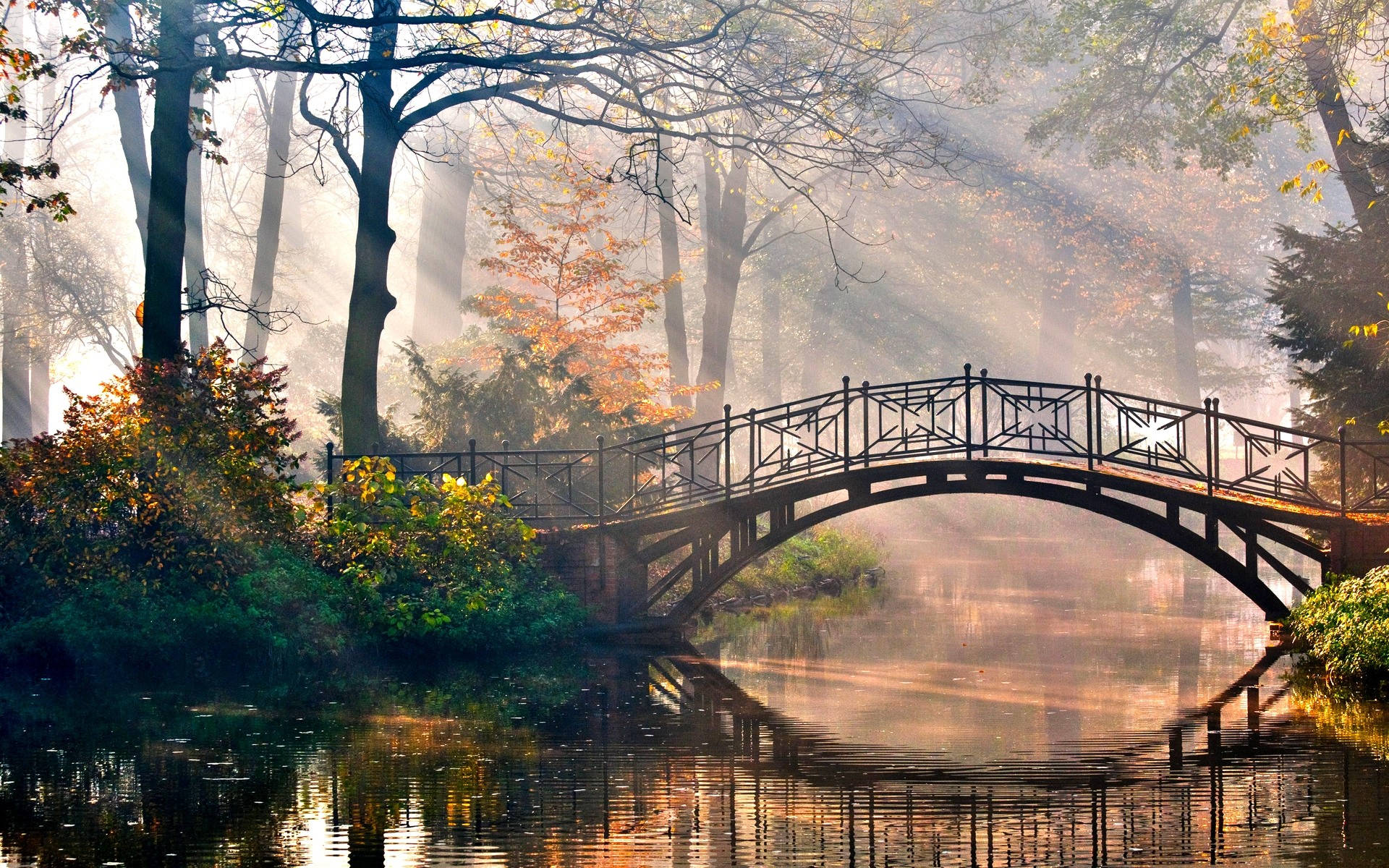 Bridgerton Aesthetic, wooden arched bridge, misty autumn morning light, Full HD Desktop Wallpaper