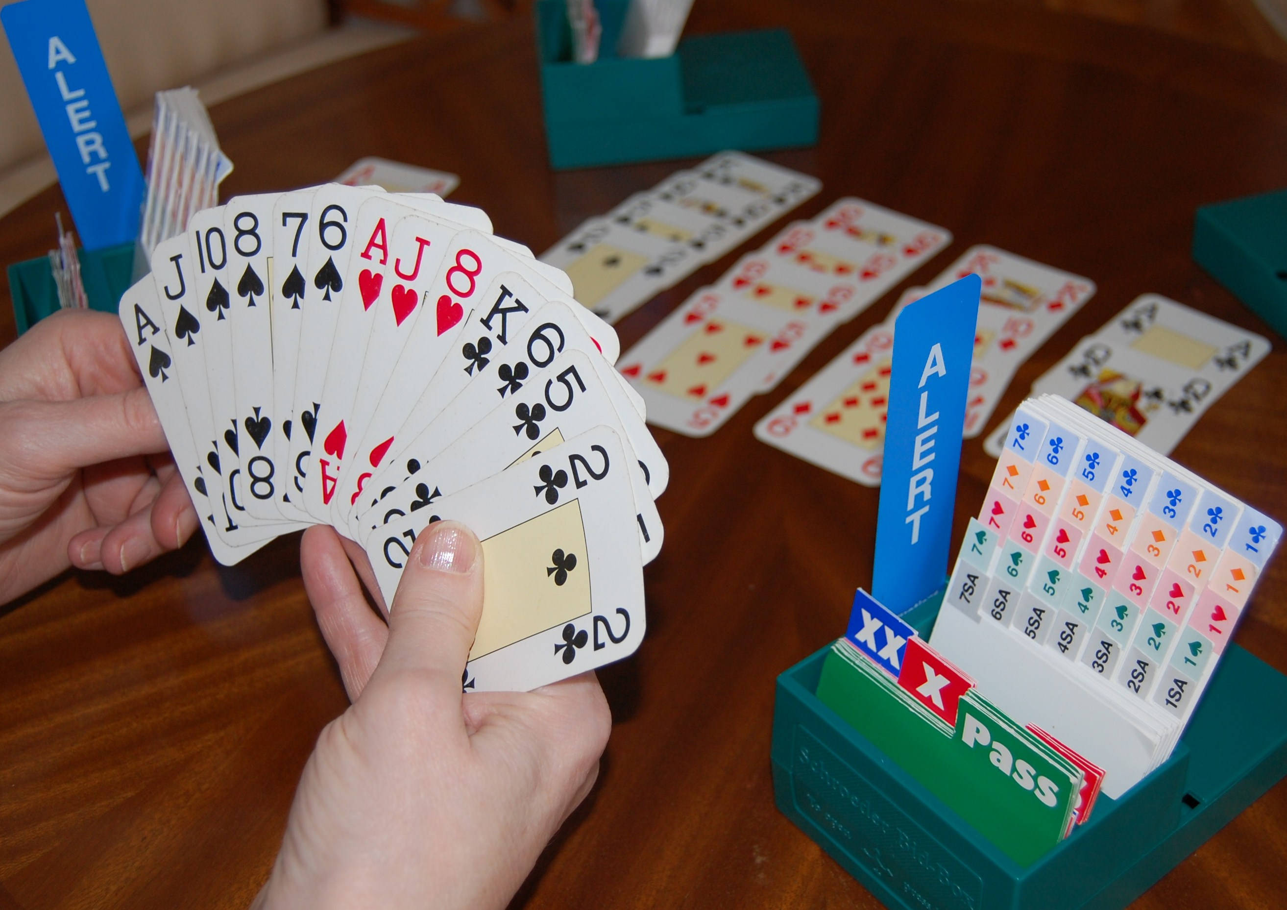 Bridgette, Deck of Cards, green card game accessories, 2K Desktop Wallpaper