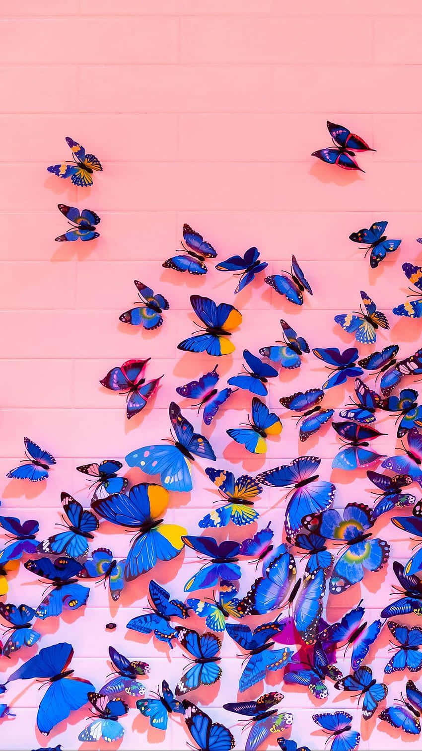 vibrant butterfly wall art, blue and yellow butterflies, soft pink tiled wall, HD Phone Wallpaper