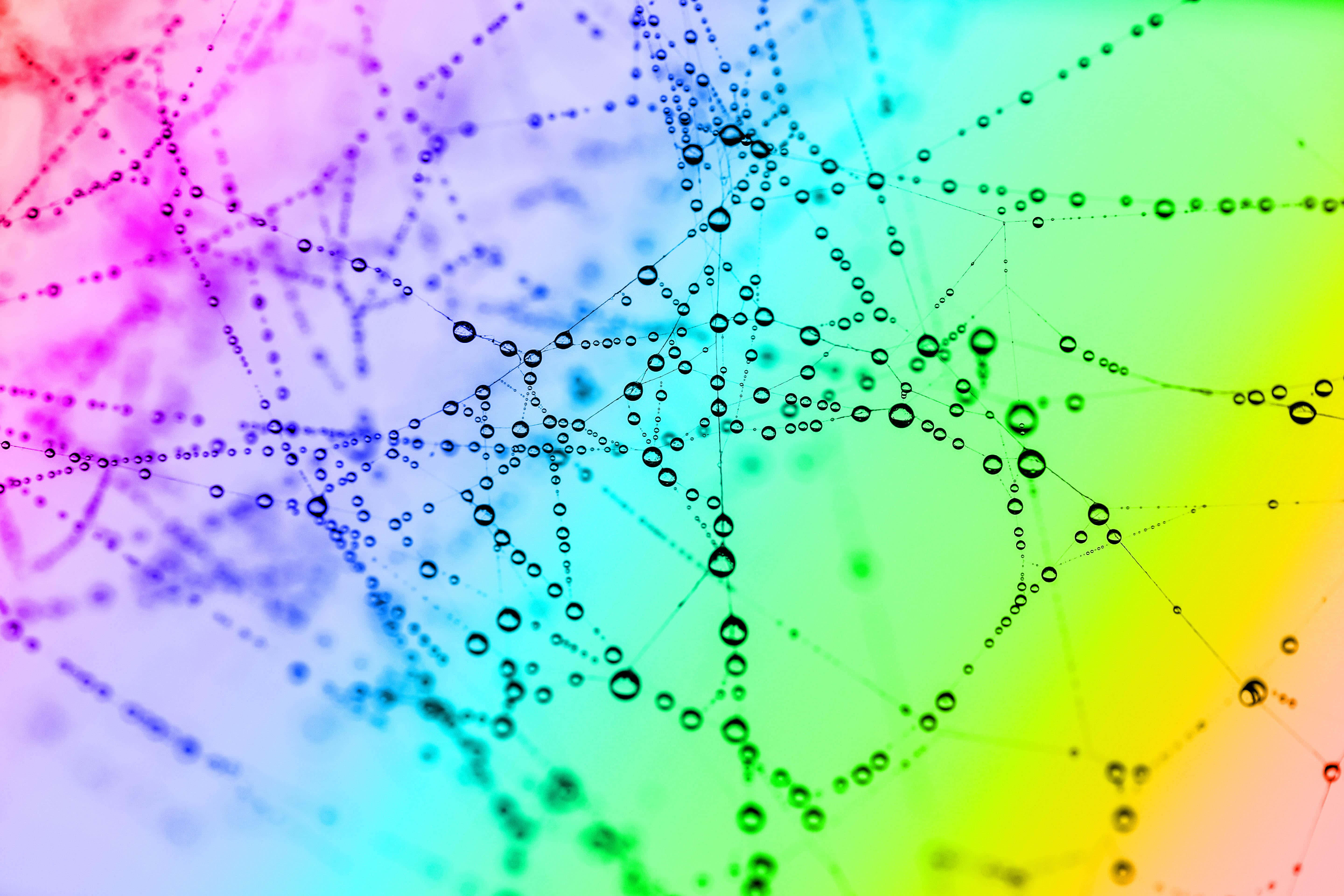 rainbow gradient, black dotted web patterns, colorful background, 5K Desktop Wallpaper