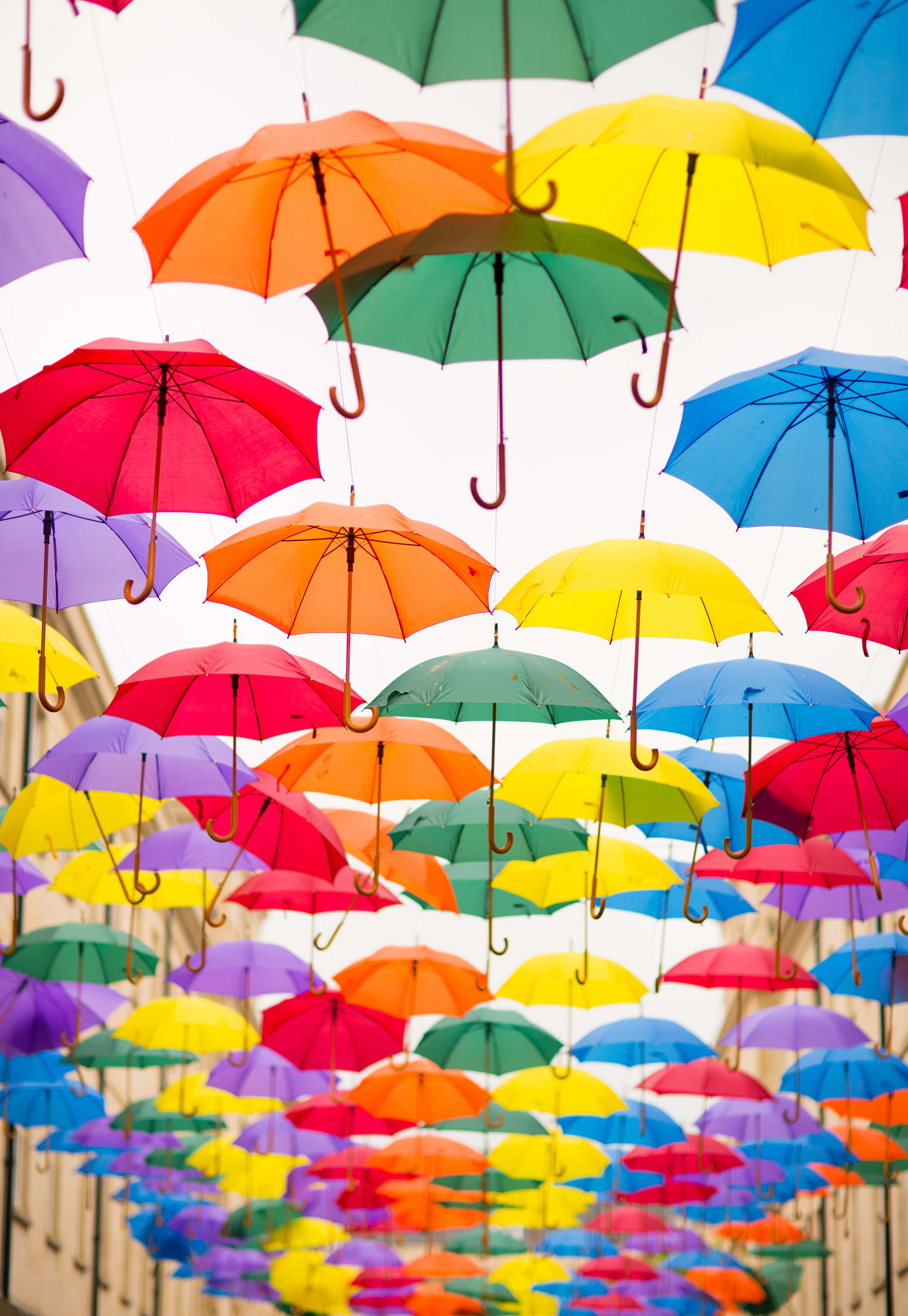 vibrant rainbow umbrellas, dense canopy, bright sky, 5K Phone Wallpaper