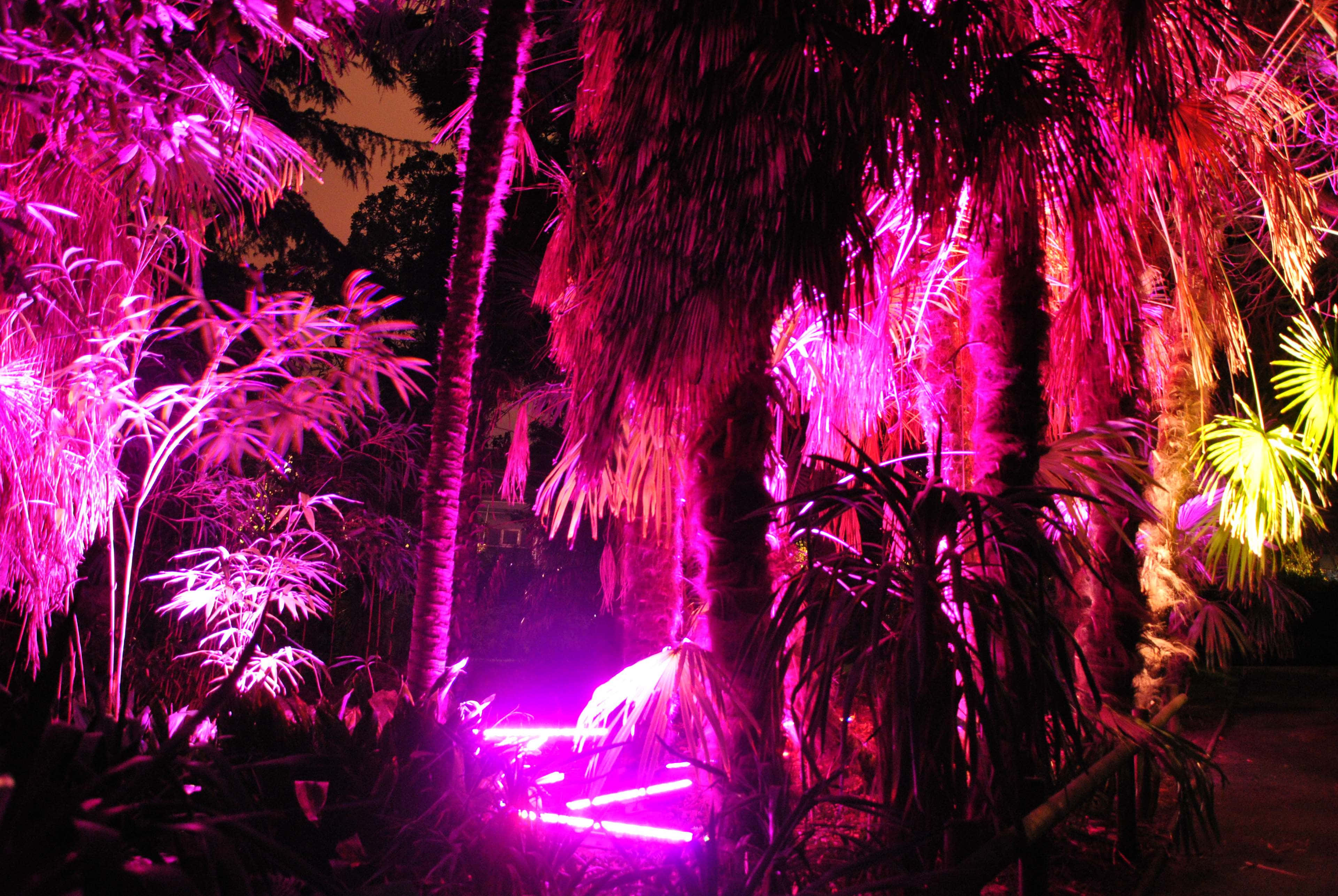 Tropical foliage, vibrant pink, yellow neon lights, 4K Desktop Wallpaper
