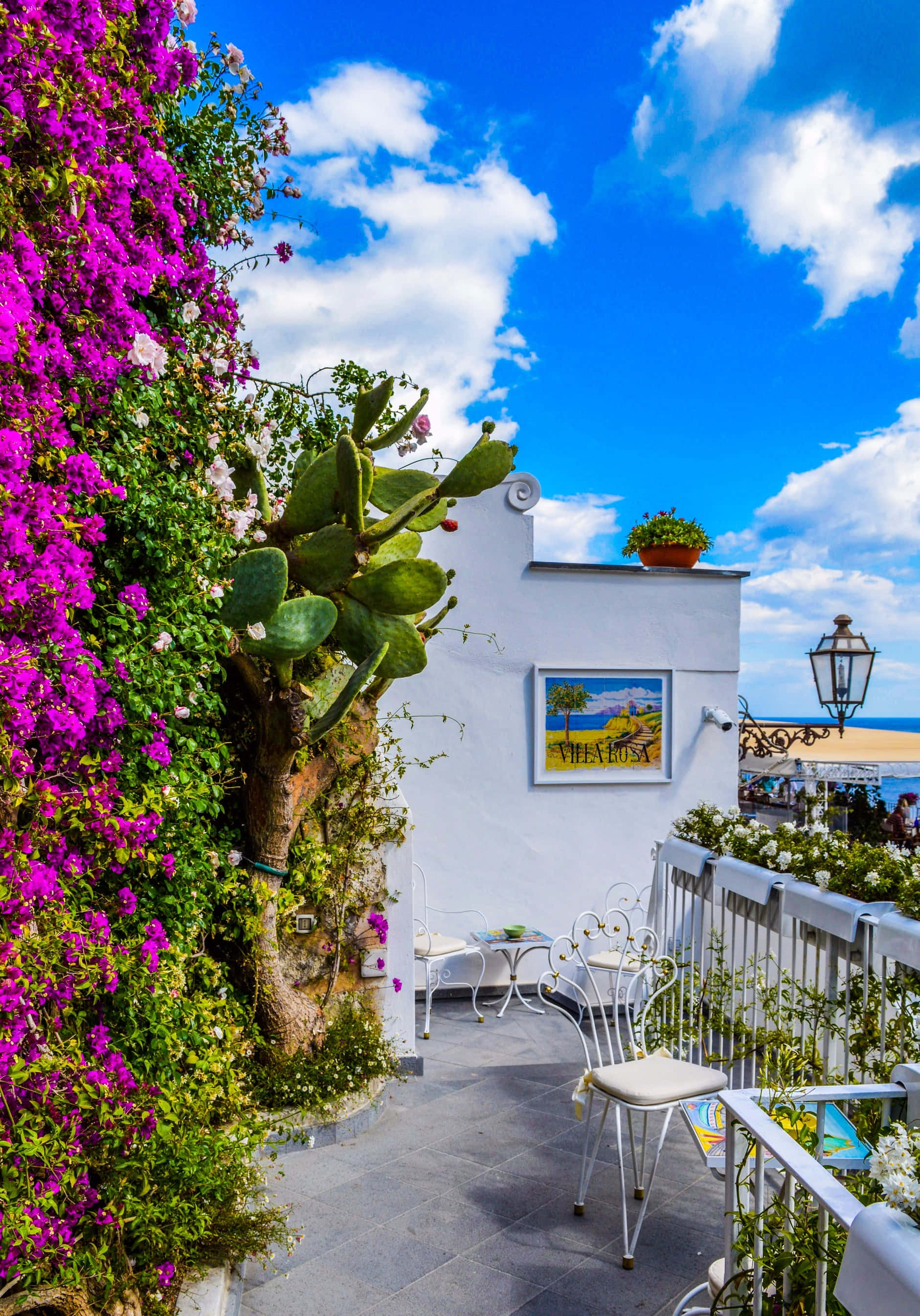 vibrant purple bougainvillea, white building, balcony cafe, 2K Phone Wallpaper