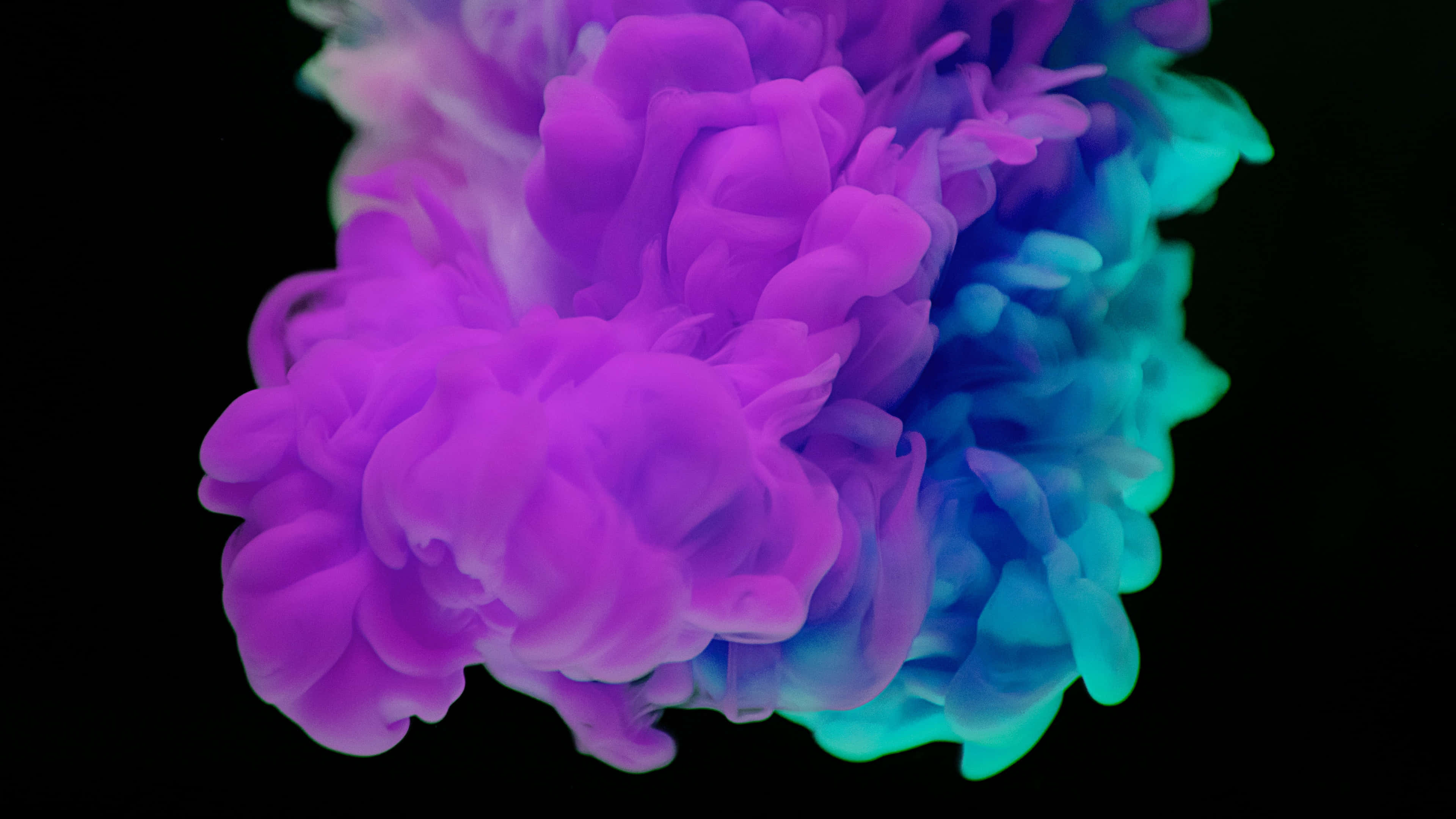 vibrant purple, cyan ink, stark black background, 4K Desktop Wallpaper