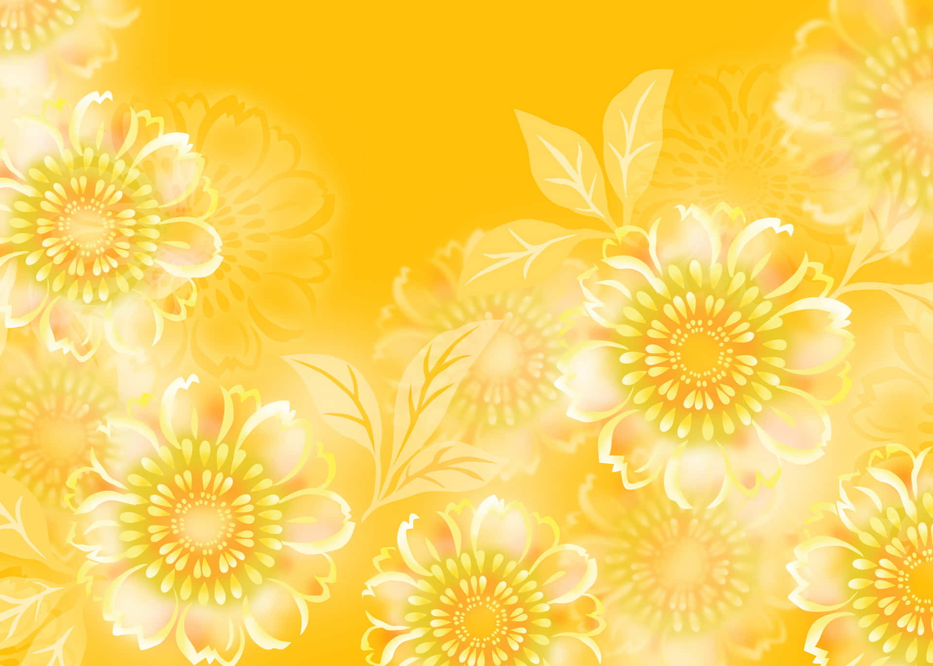 bright yellow, glowing daisies, radiant golden background, Full HD Desktop Wallpaper