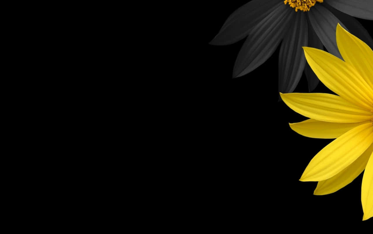 simple flower, vibrant yellow, monochrome black, HD Desktop Wallpaper