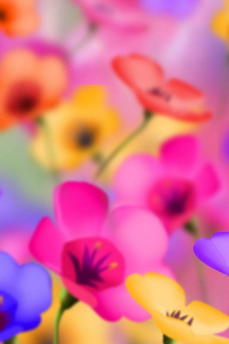 Bright iPhone, pink, yellow, SD Phone Wallpaper