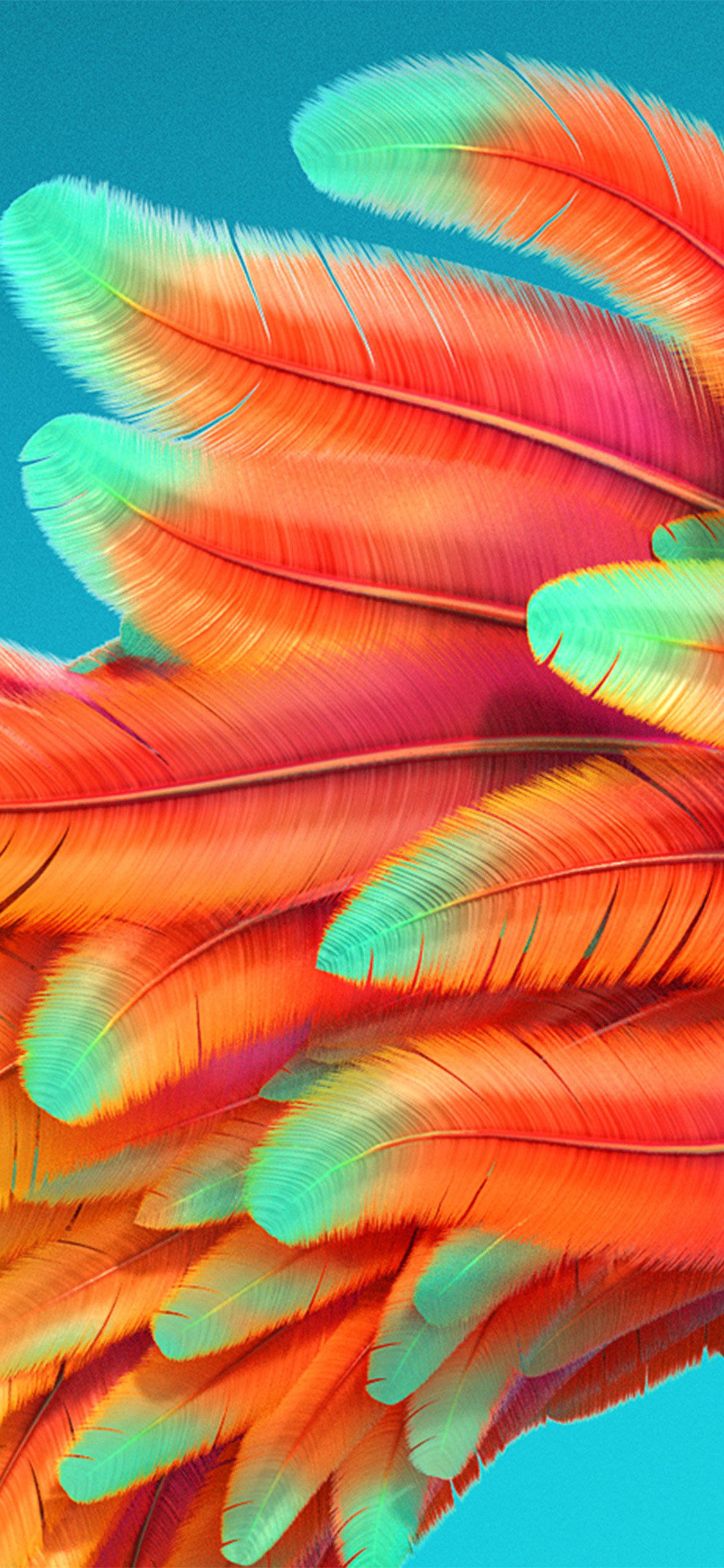 bright colorful iphone, orange feathers, teal feathers, Full HD Phone Wallpaper