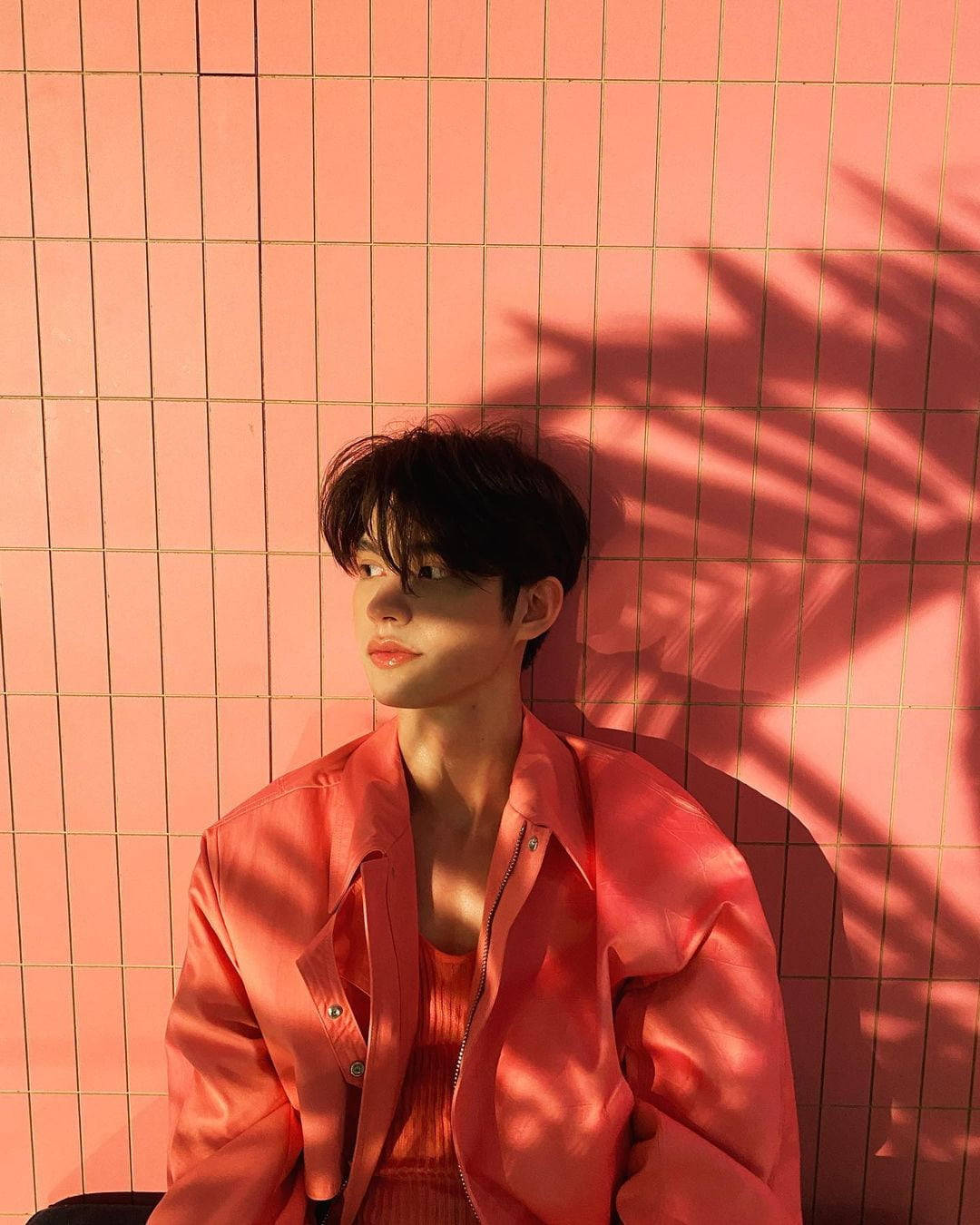 Bright Vachirawit, coral jacket, pink tiled wall, HD Phone Wallpaper