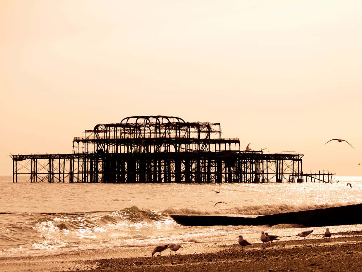 Brighton Pier, seagulls, beach, SD Desktop Wallpaper