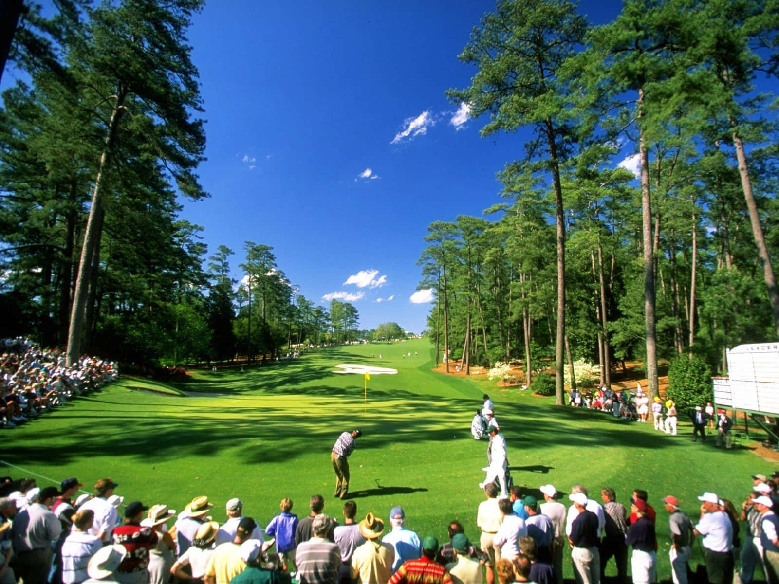 Briny Baird, professional golf tournament, green, HD Desktop Wallpaper