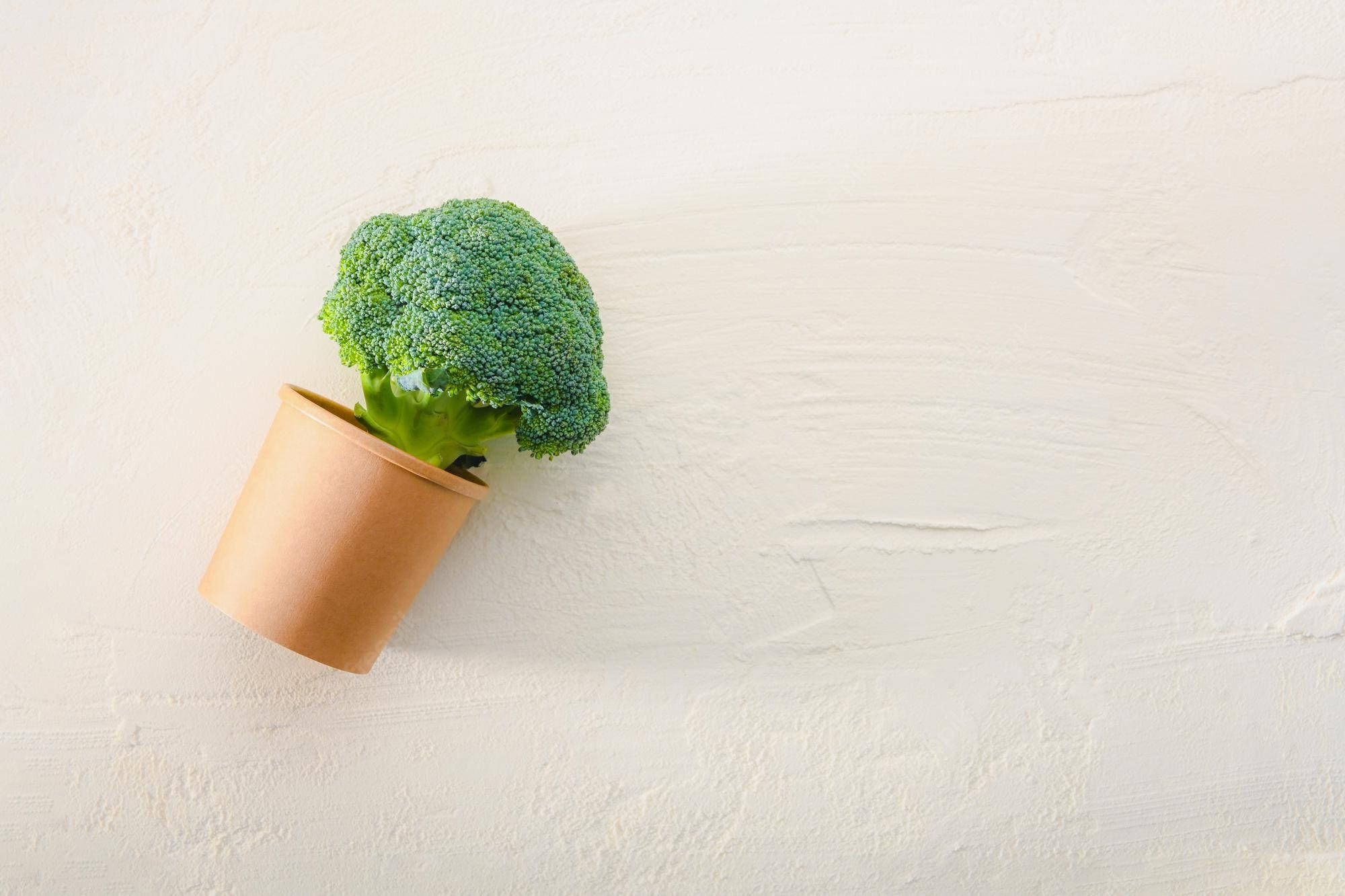 broccoli flower, vase, brown paper cup, Full HD Desktop Wallpaper