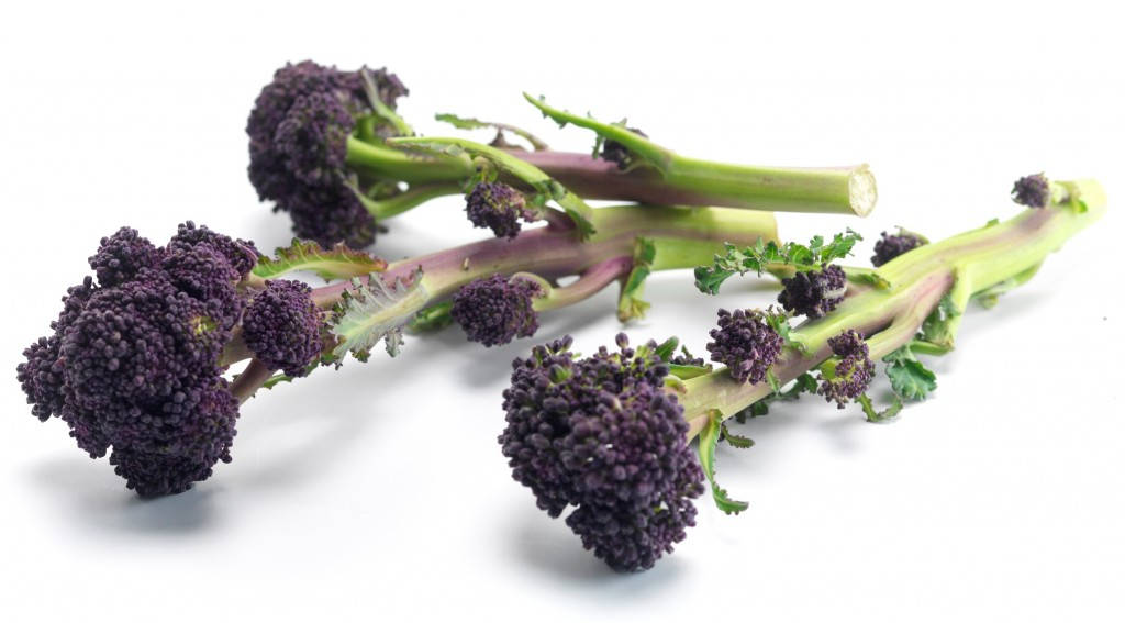 three purple broccoli flowers, purple broccoli florets, green stems, SD Desktop Wallpaper
