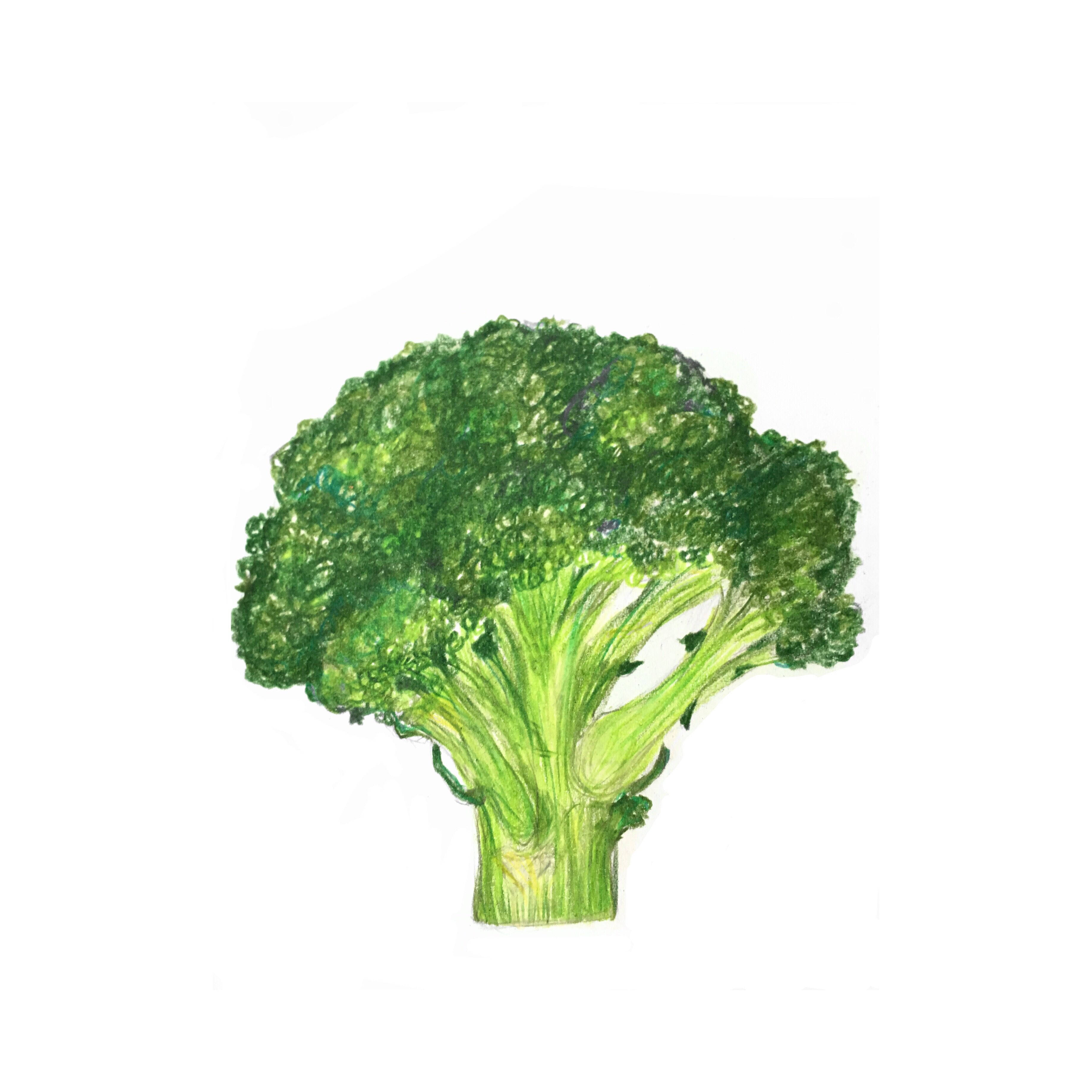 light green, one piece broccoli, textured watercolor, 2K Desktop Wallpaper