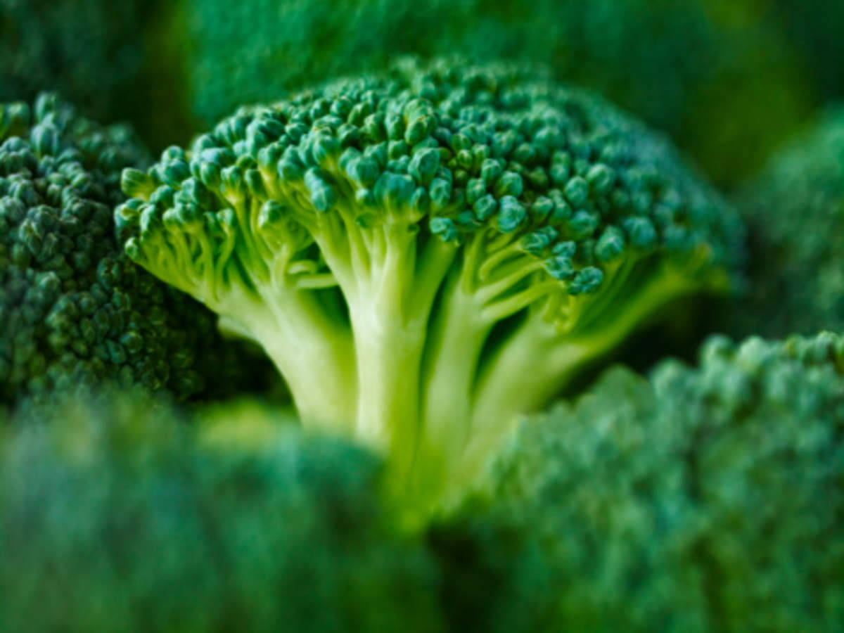 broccoli, green leaves, vibrant green, SD Desktop Wallpaper