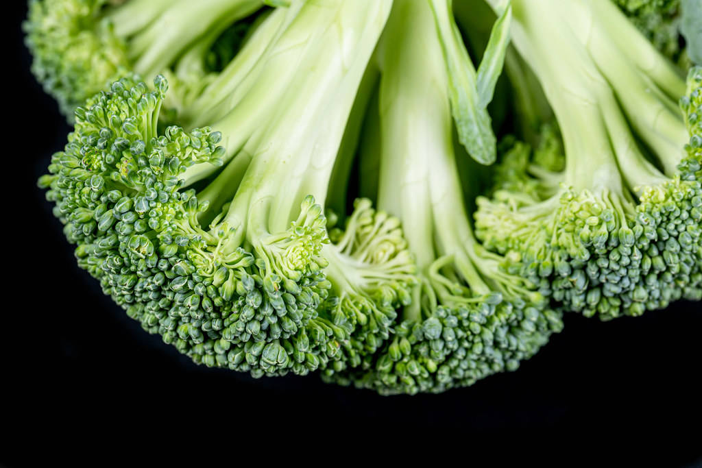minimalist reversed broccoli, vibrant green broccoli florets, detailed stems, SD Desktop Wallpaper