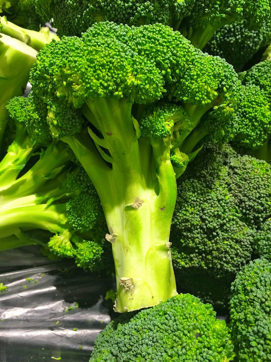 vibrant fresh green broccoli, broccoli crowns, detailed florets, SD Phone Wallpaper