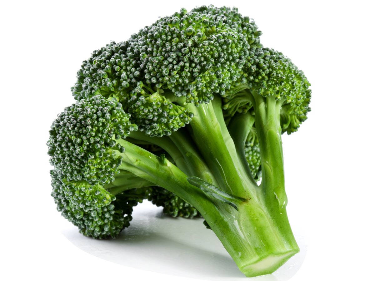 one fresh broccoli, vibrant green, dewy florets, SD Desktop Wallpaper