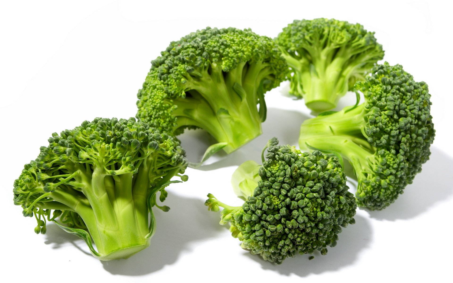 five green broccoli heads, fresh green broccoli florets, bright white surface, Full HD Desktop Wallpaper