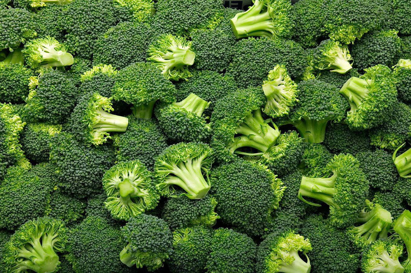 dark green broccoli, fresh green broccoli crowns, vibrant textures, HD Desktop Wallpaper