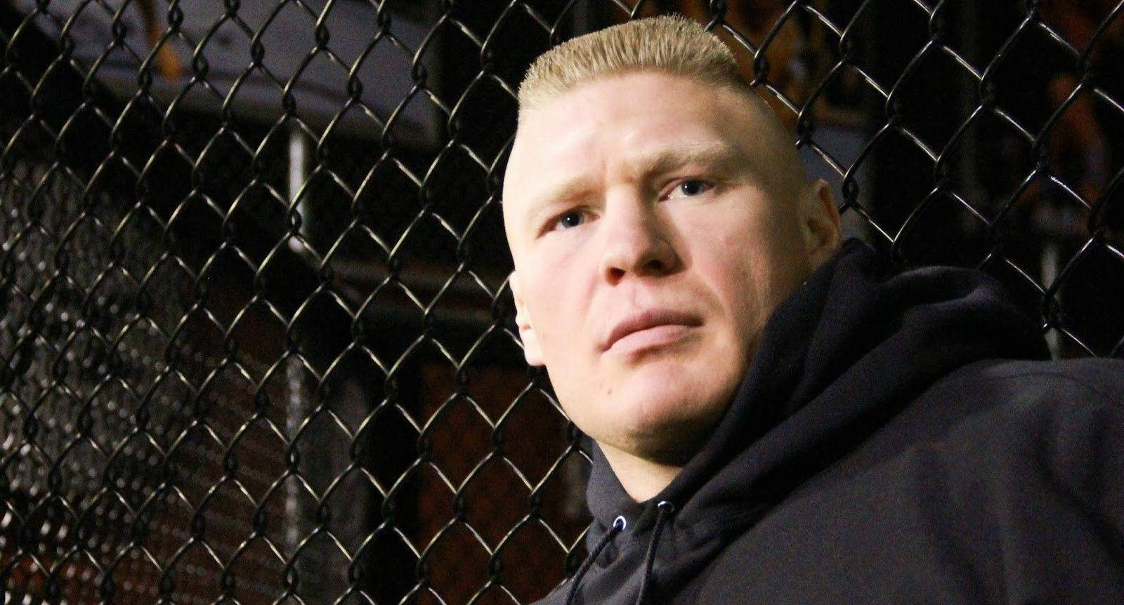 Brock Lesnar, black hoodie, chain-link fence, HD Desktop Wallpaper