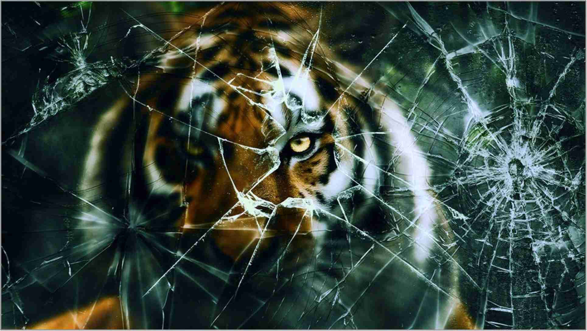 tiger, shattered glass, glowing eyes, Full HD Desktop Wallpaper