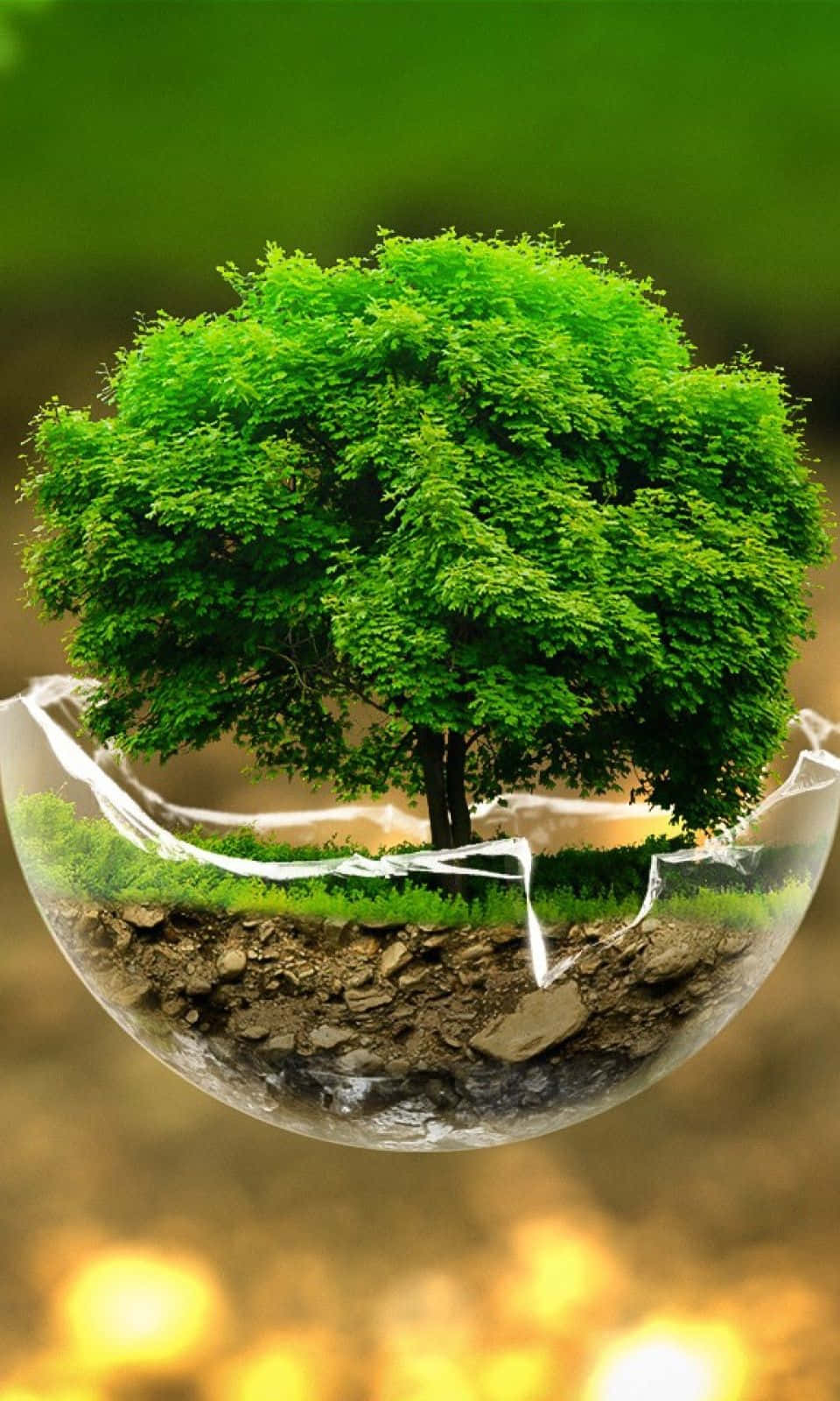 Tree Phone, cracked glass sphere, lush green tree, HD Phone Wallpaper