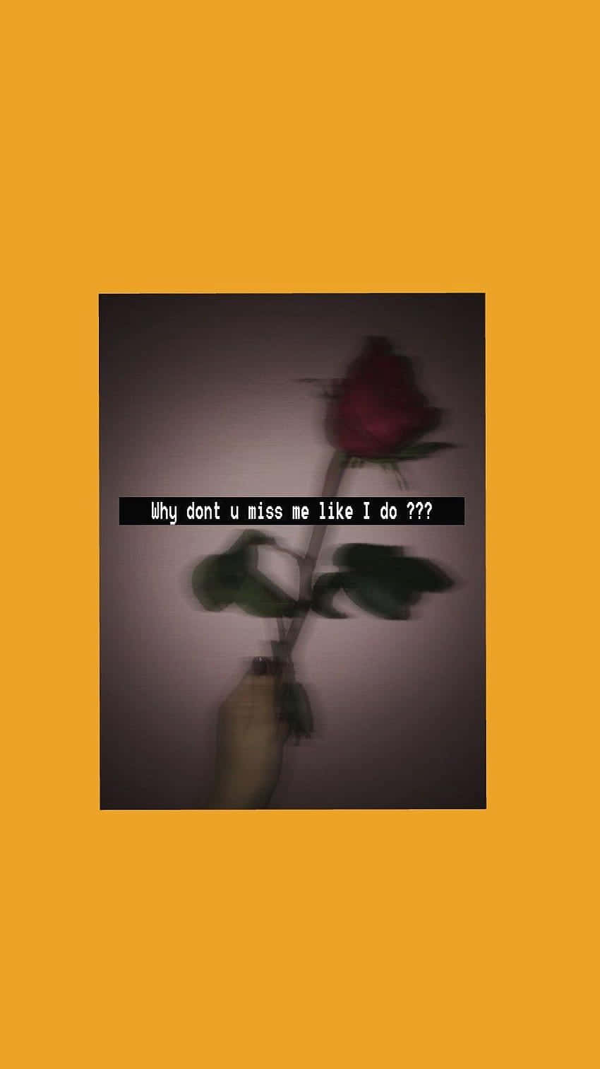 broken heart aesthetics, red rose, muted wall, HD Phone Wallpaper