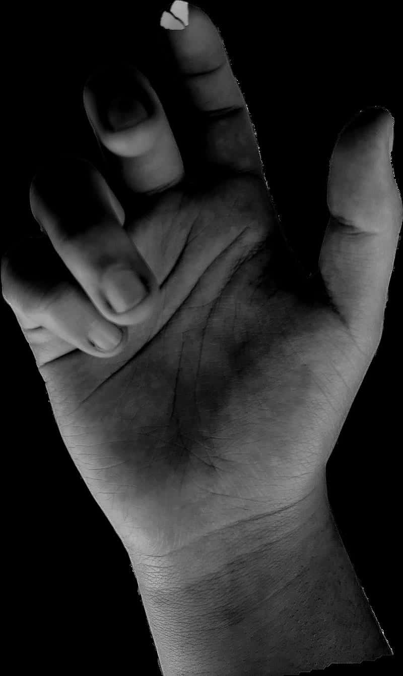 black and white, hand reaching out, close-up, HD Phone Wallpaper