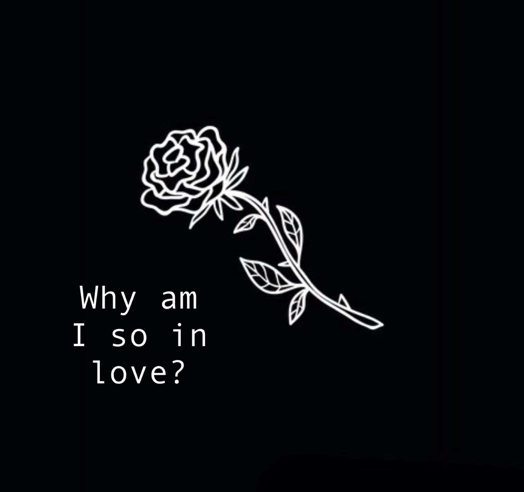Broken Heart Aesthetics, rose, white line drawing, HD Desktop Wallpaper