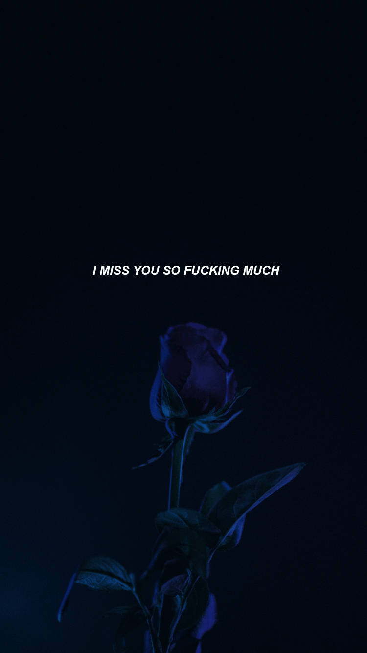 broken heart iphone, dark blue rose, black background, HD Phone Wallpaper