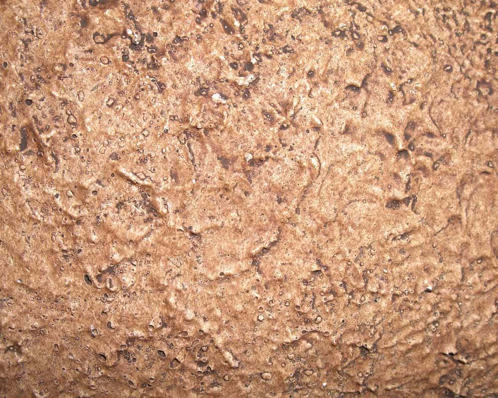 burnt bronze panel, rough textured brown bark, natural organic patterns, SD Desktop Wallpaper