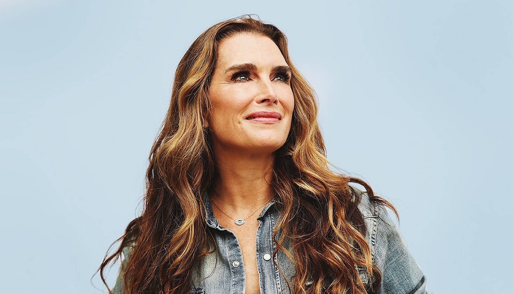 Brooke Shields, long wavy brown hair, soft smile, Full HD Desktop Wallpaper