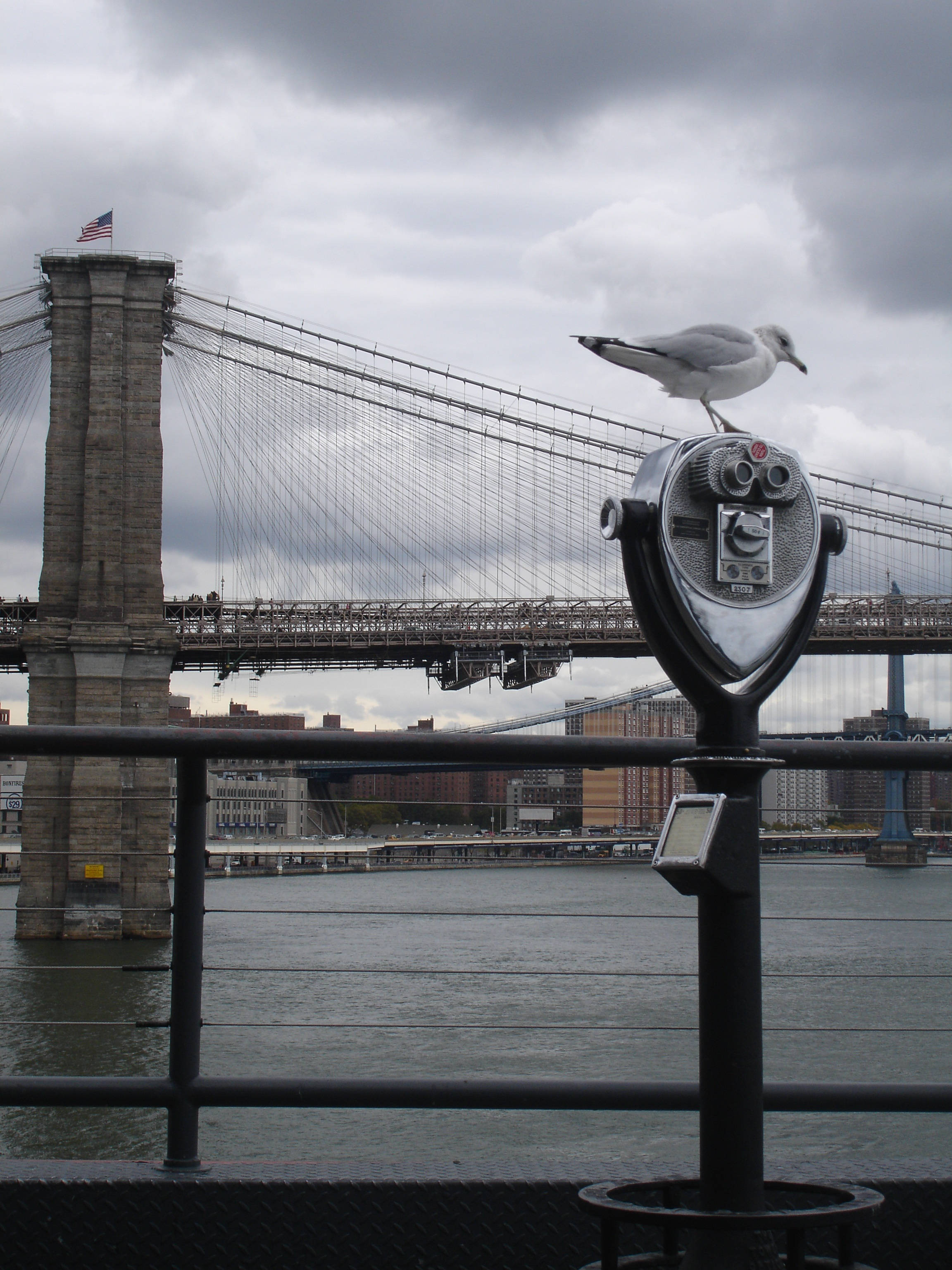 Brooklyn Bridge, overcast sky, coin-operated viewer, 2K Phone Wallpaper