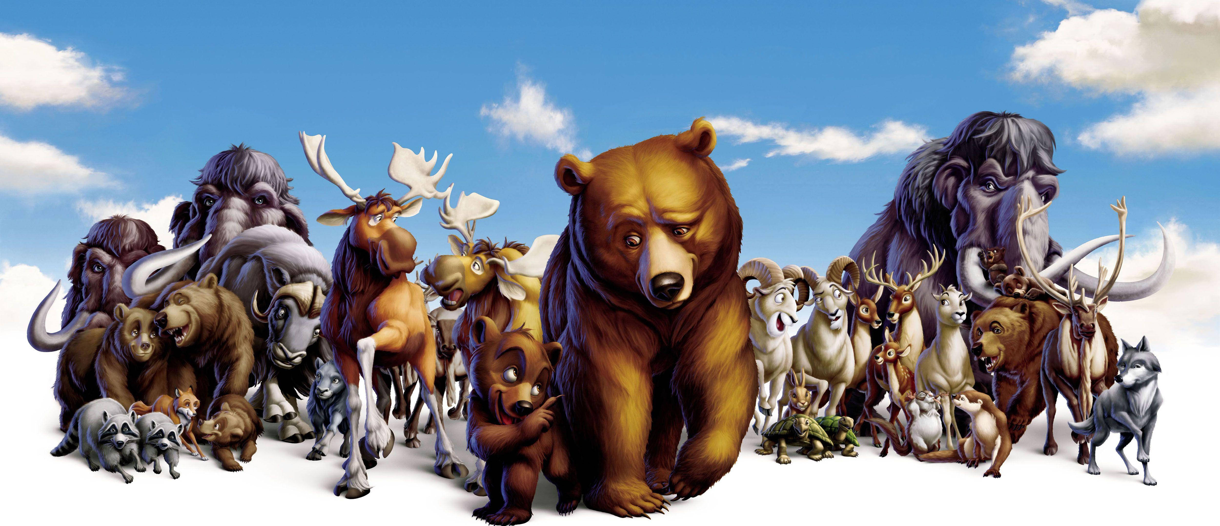 Brother Bear, sky, bright blue sky, 4K Desktop Wallpaper