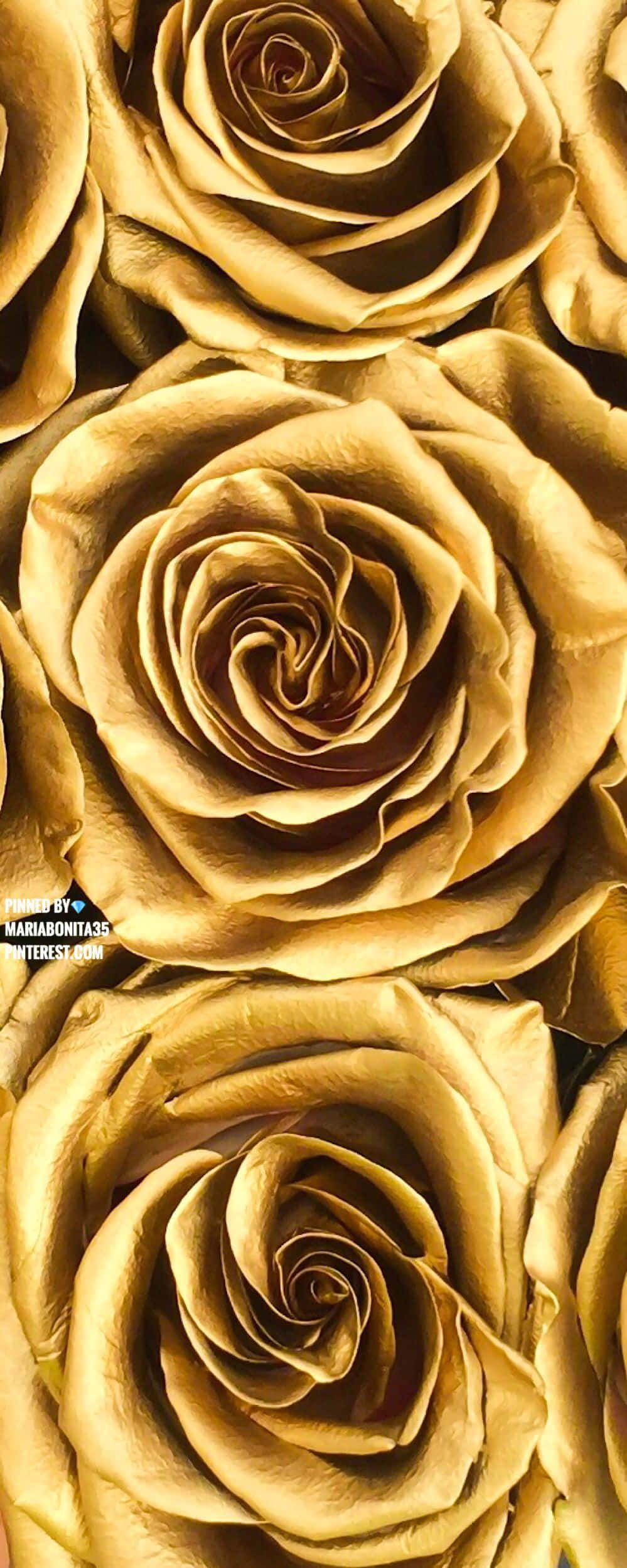 brown and gold, golden roses, intricate layered petals, Full HD Phone Wallpaper