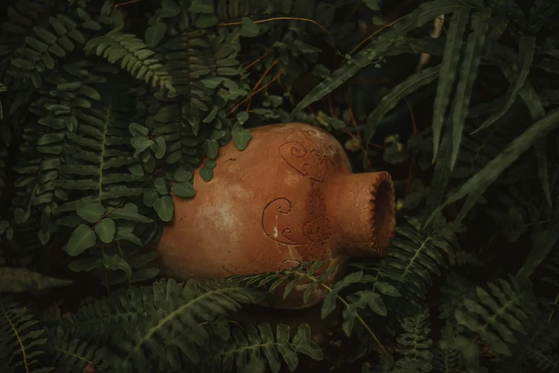 Brown And Green Aesthetic