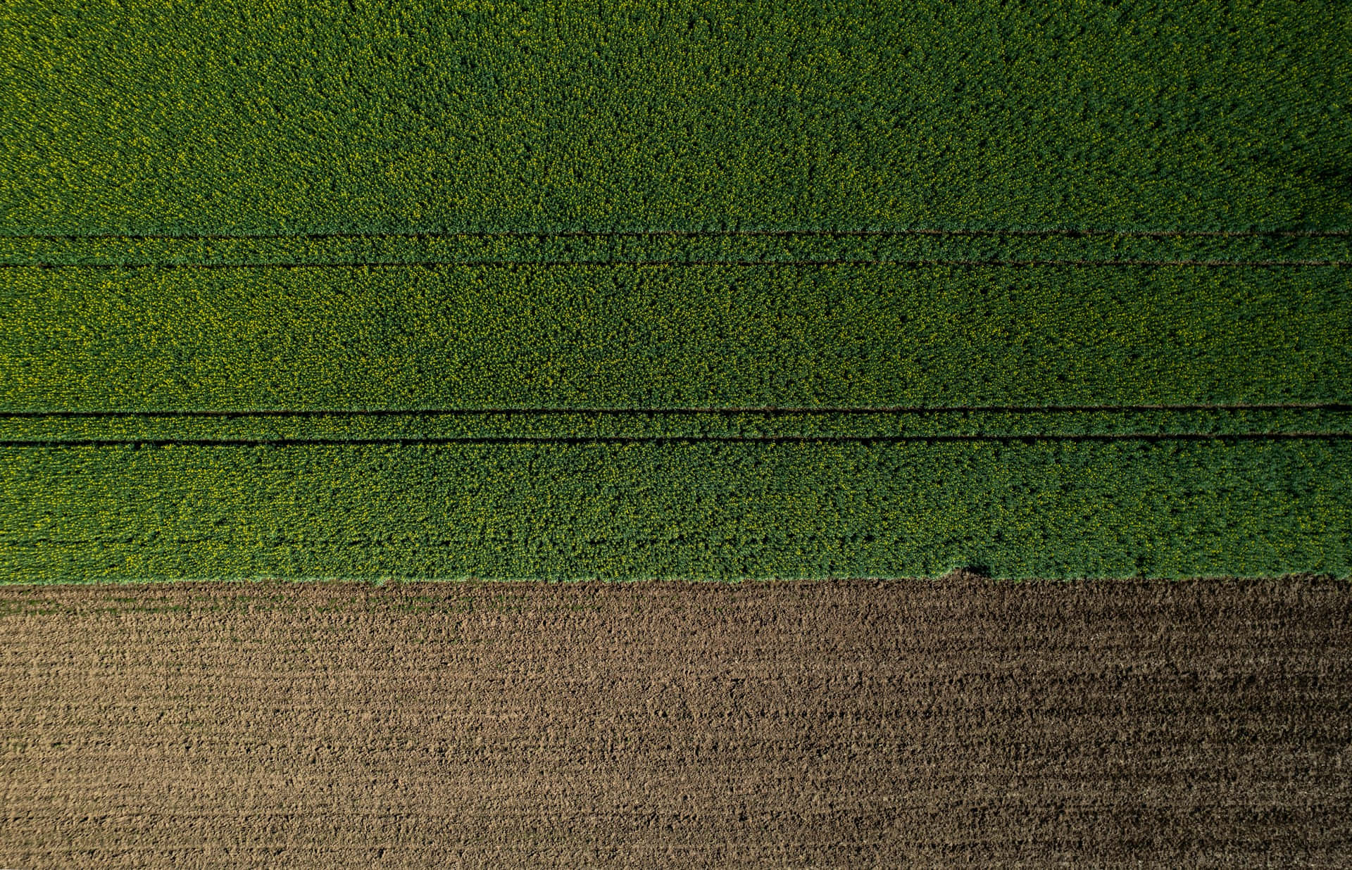 aerial farm patterns, lush green crop rows, tilled brown earth, Full HD Desktop Wallpaper