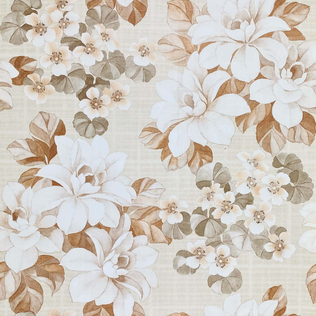 white magnolias, cream blossoms, beige textured background, SD Desktop Wallpaper