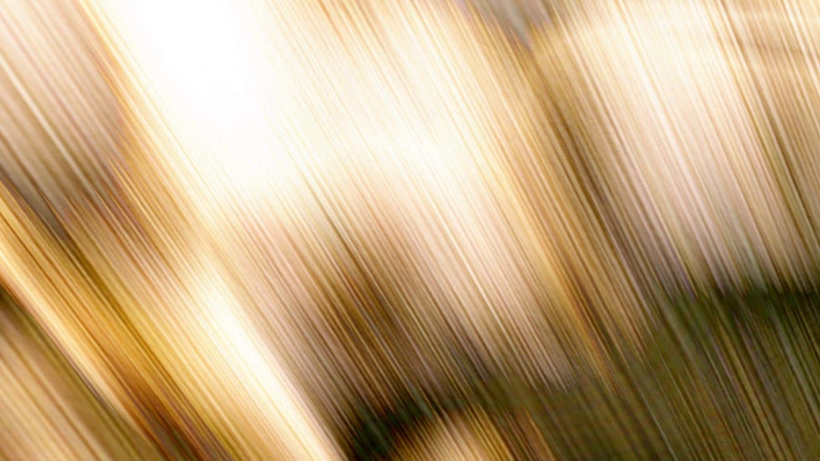 brown and white, golden light, diagonally, HD Desktop Wallpaper