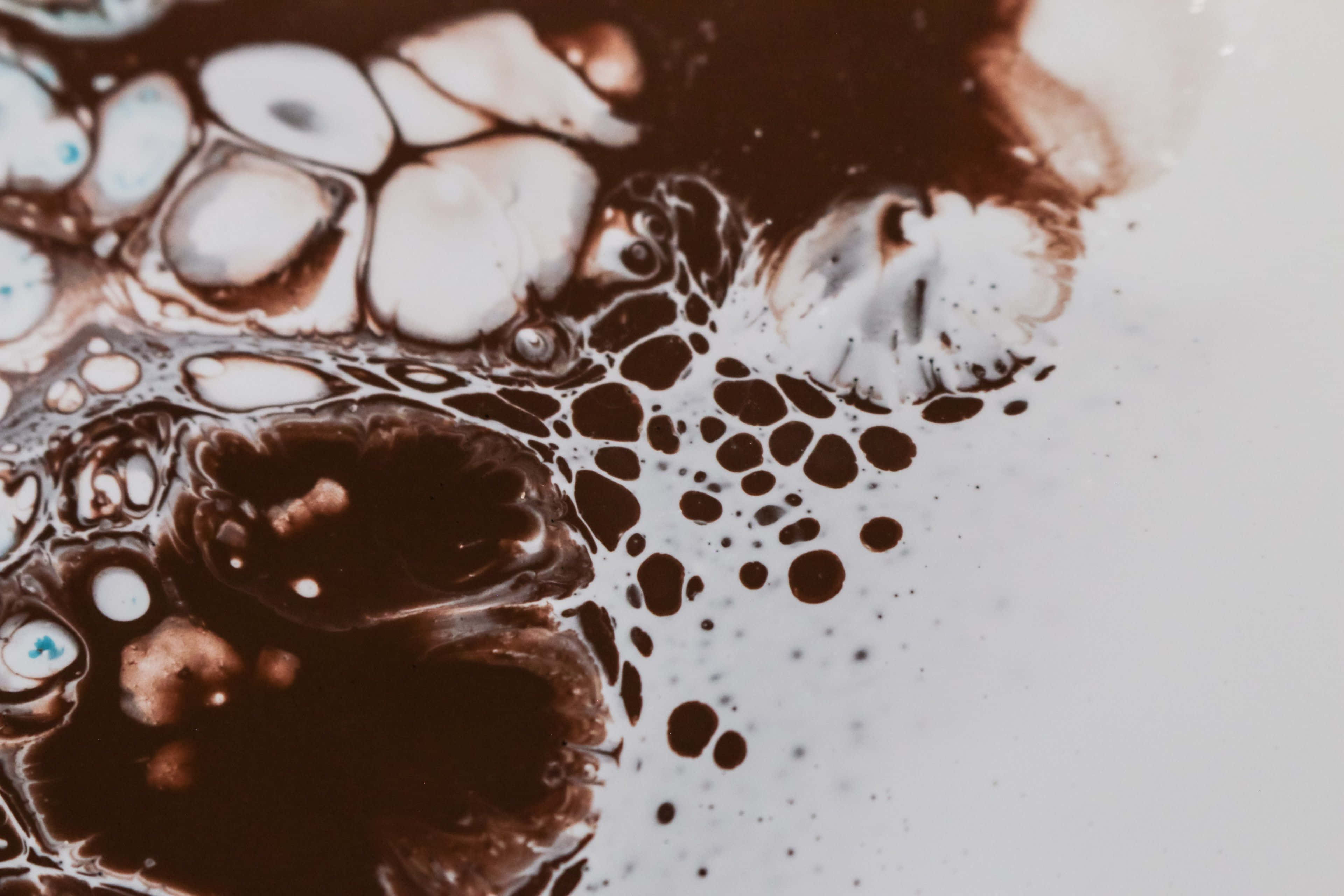 Brown And White, earthy brown, off-white, 4K Desktop Wallpaper