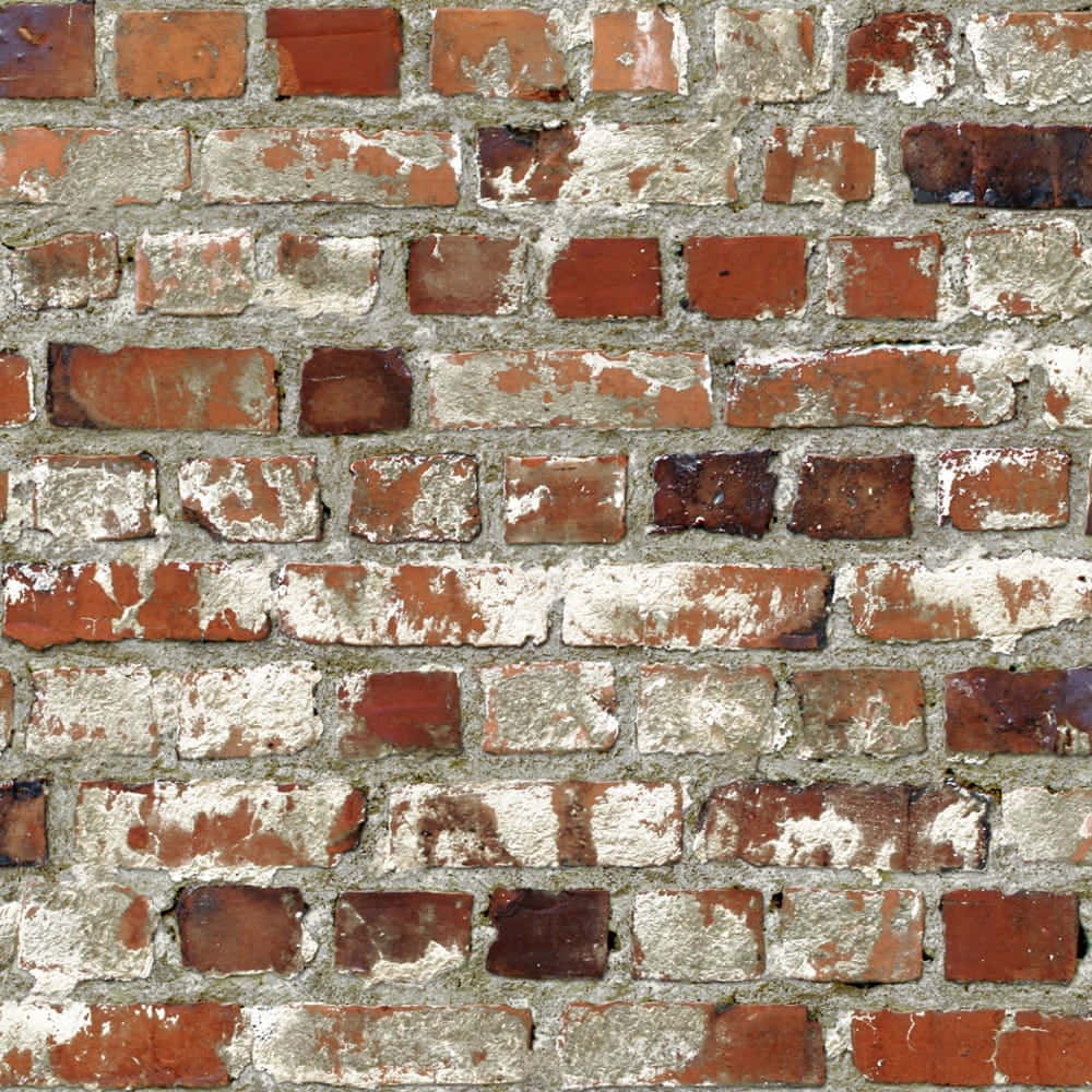 Brown Brick, red brick wall, peeling white paint, SD Desktop Wallpaper