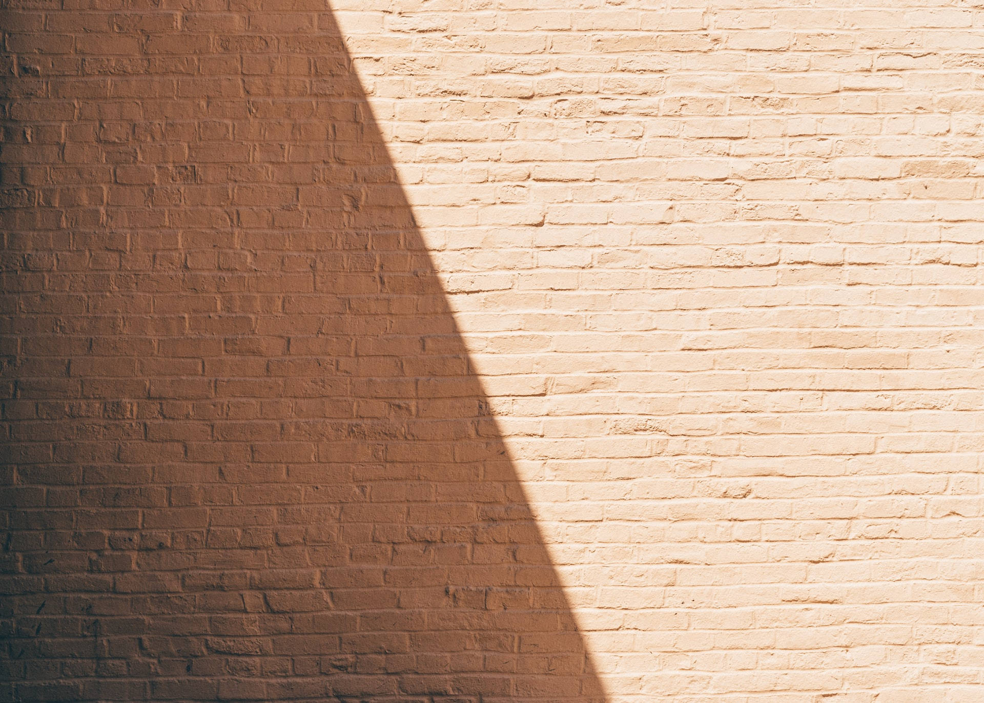 dark brown brick wall, textured brick wall, warm golden light, Full HD Desktop Wallpaper