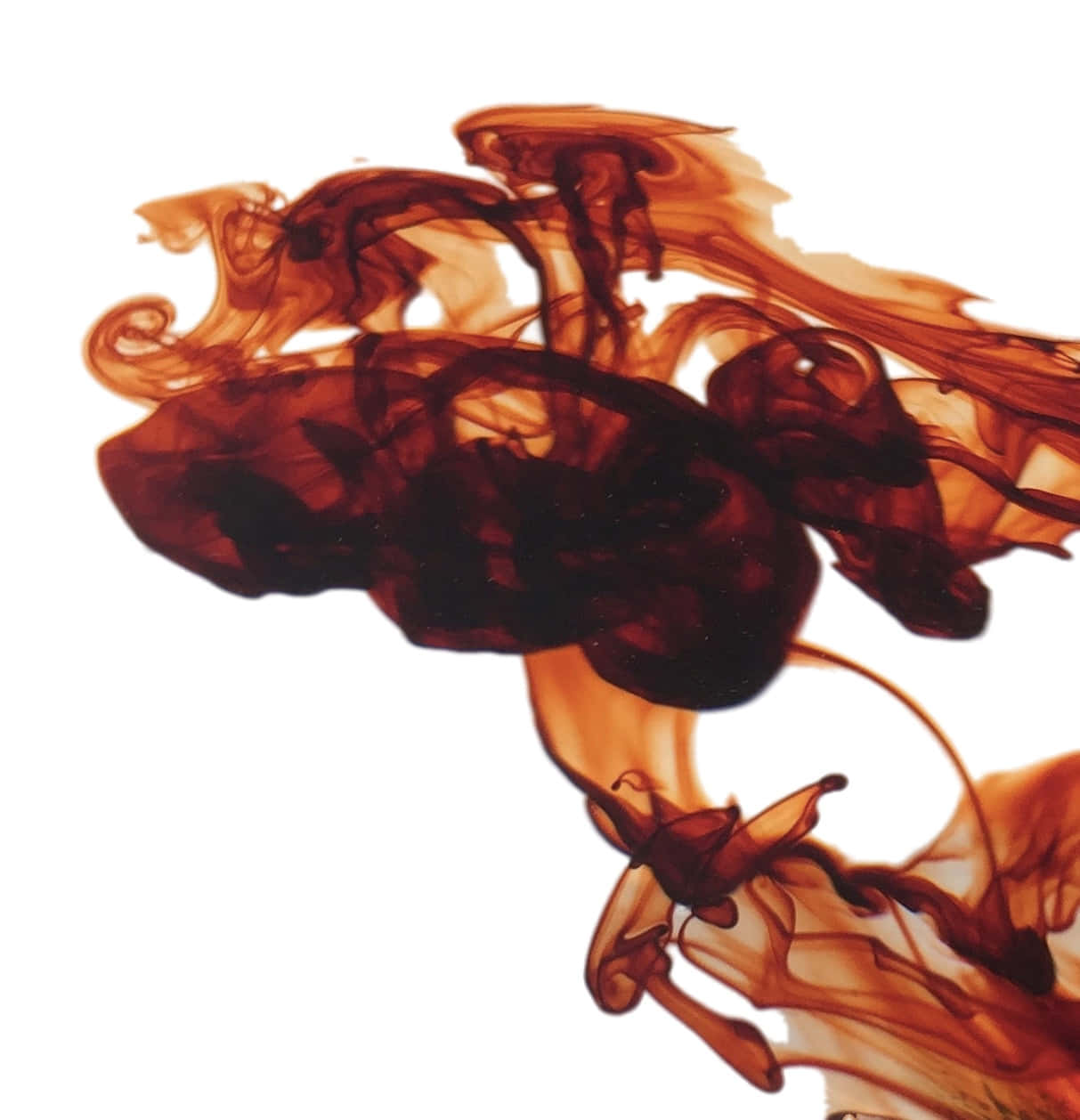 Brown Caramel, amber ink, stark white background, SD Phone Wallpaper