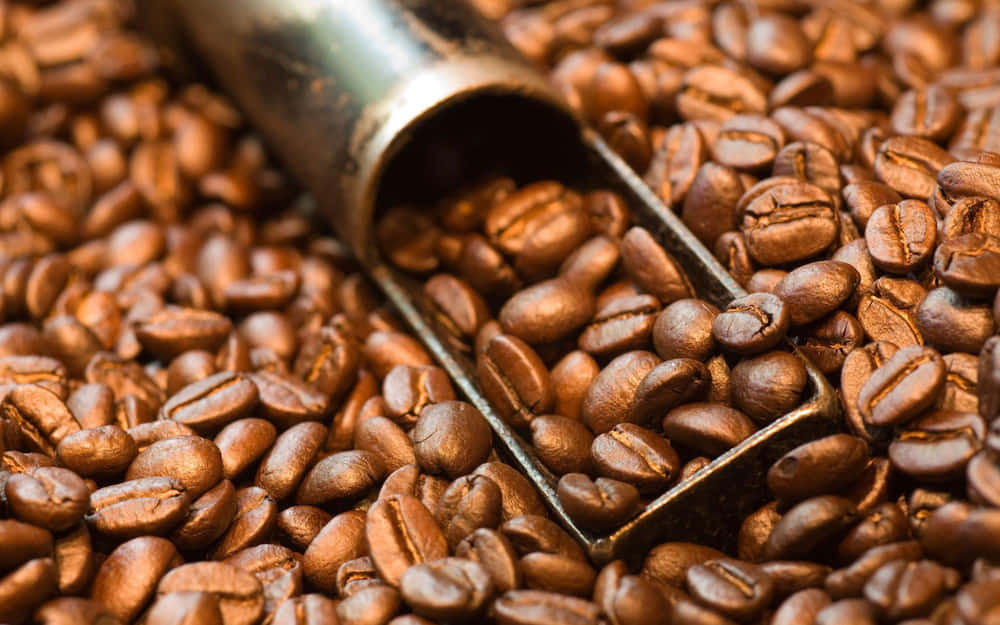 brown coffee, metal scoop, rich brown roasted coffee beans, SD Desktop Wallpaper