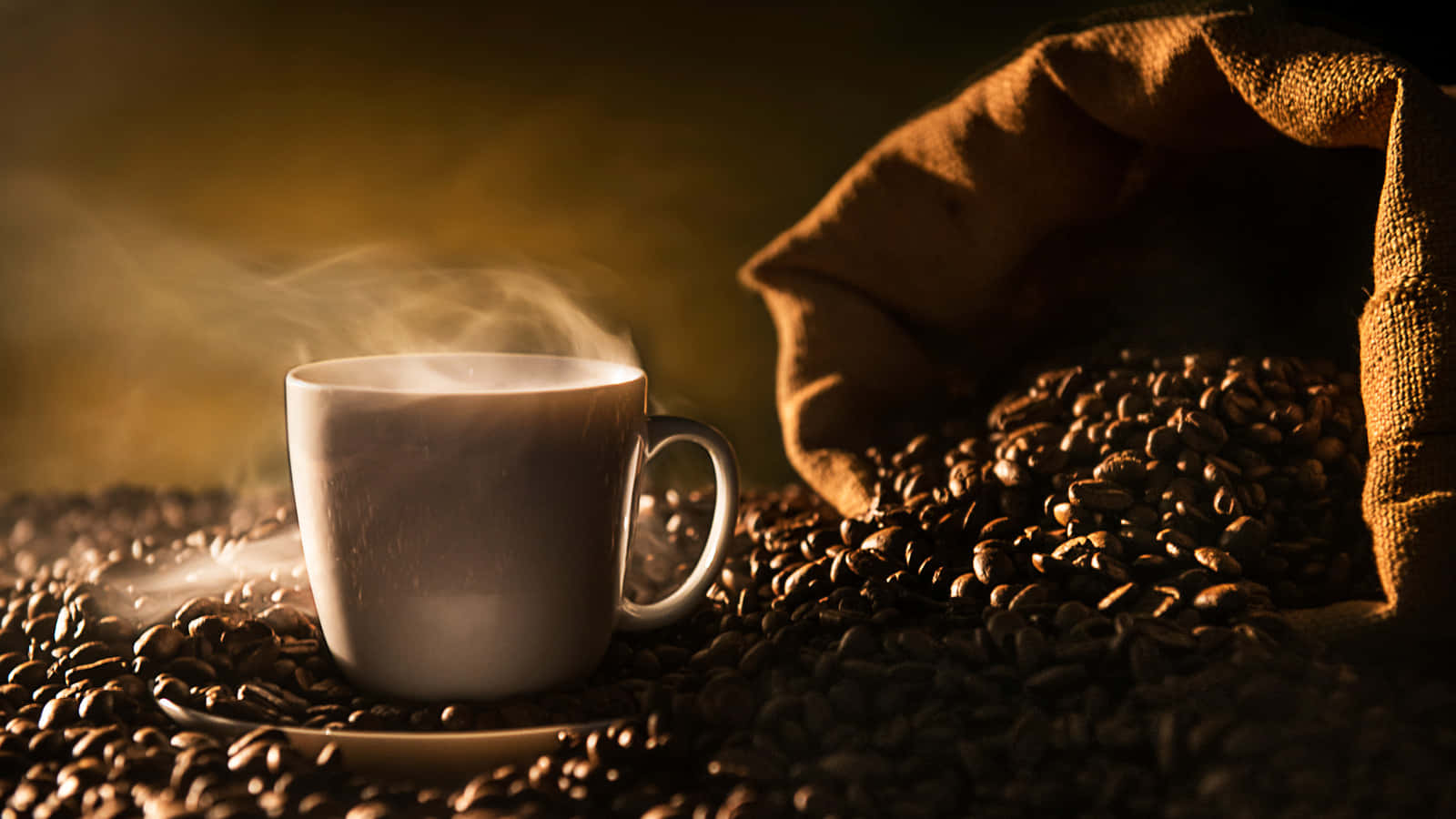 Brown Coffee, steaming white coffee cup, dark roasted beans, HD Desktop Wallpaper