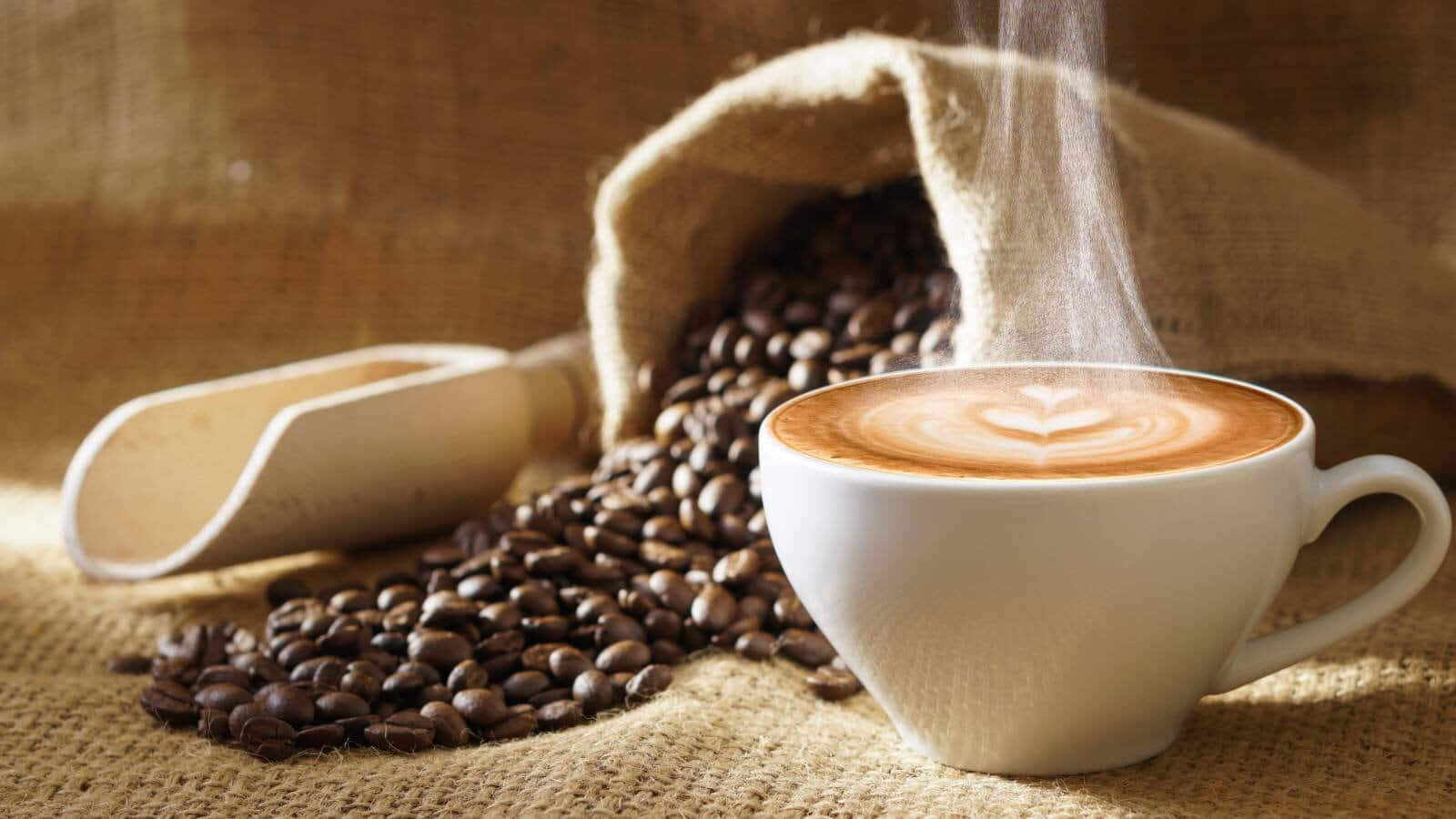 Brown Coffee, latte art, white cup, HD Desktop Wallpaper