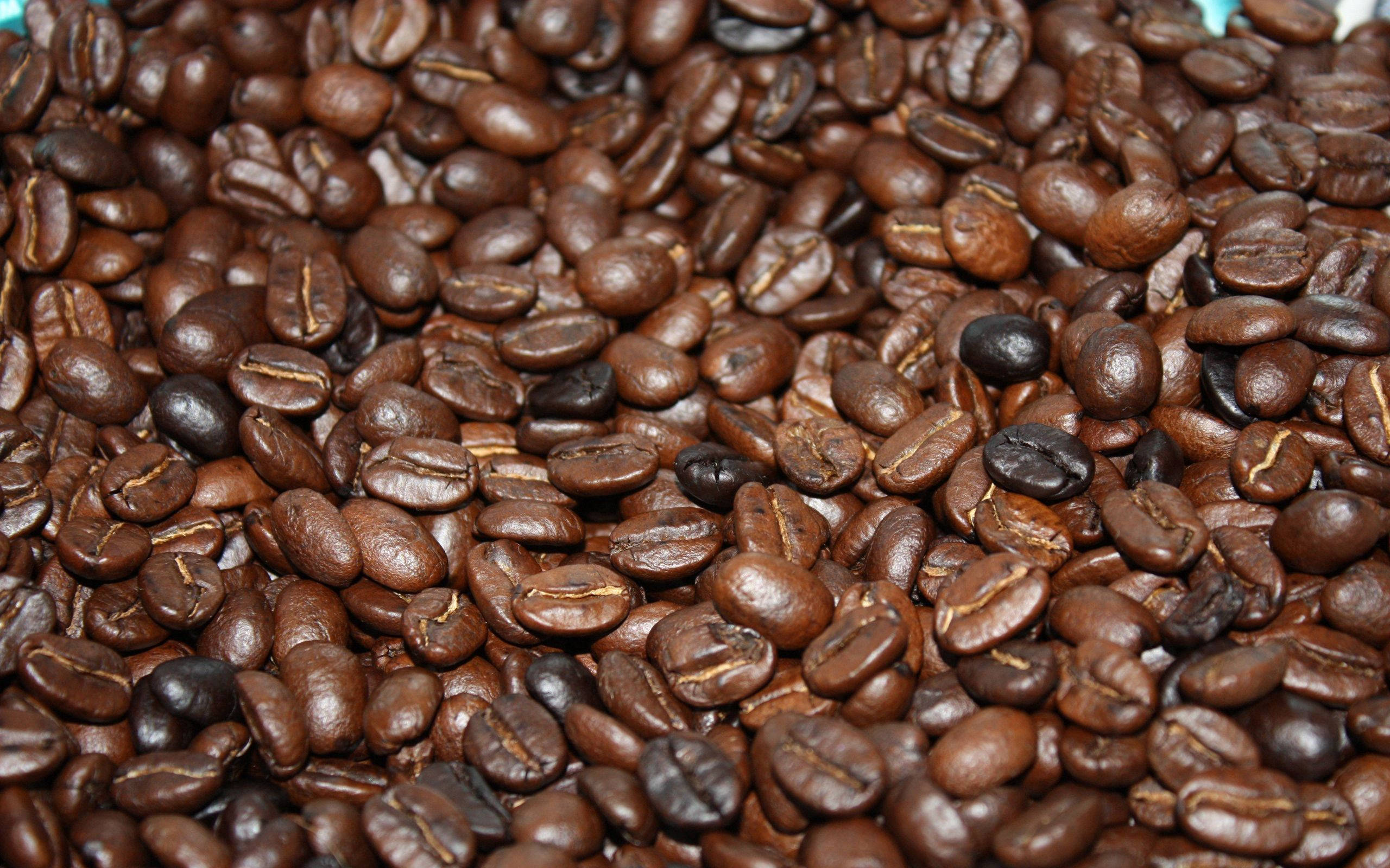 roasted coffee beans, rich brown tones, visible creases, 2K Desktop Wallpaper
